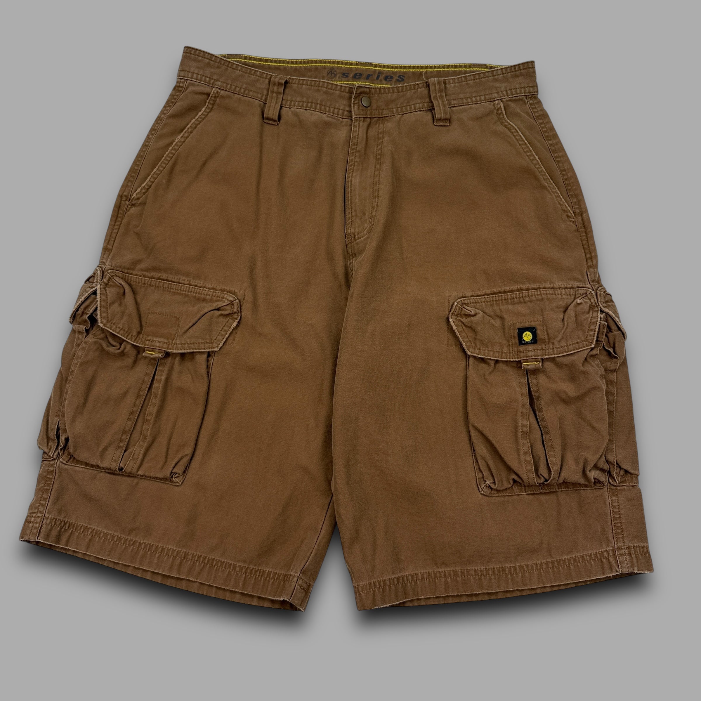 The north face 2000's technical A5 series baggy cargo shorts (M)
