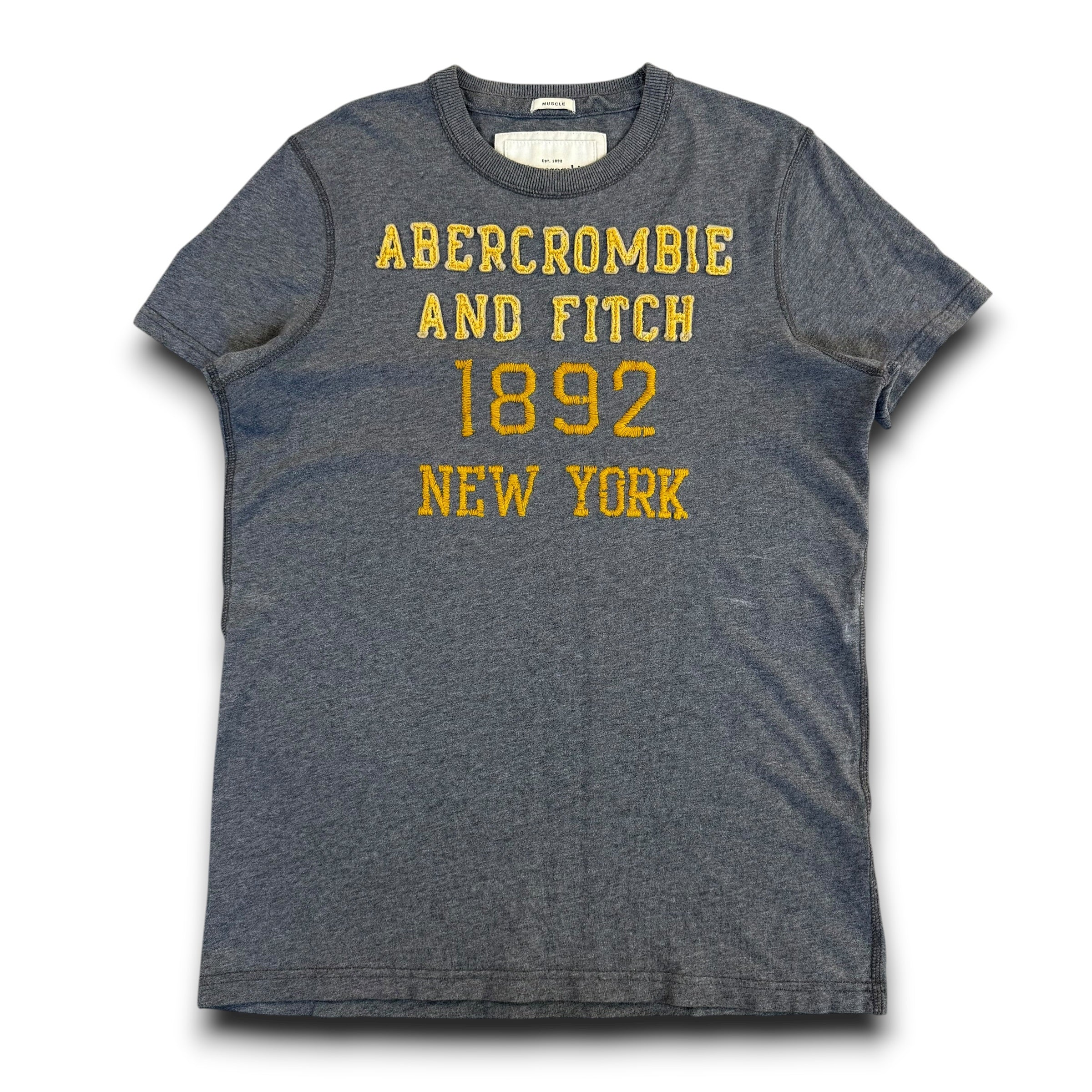 Abercrombie and fitch 2000's embroidered puff print muscle fit tee (M)