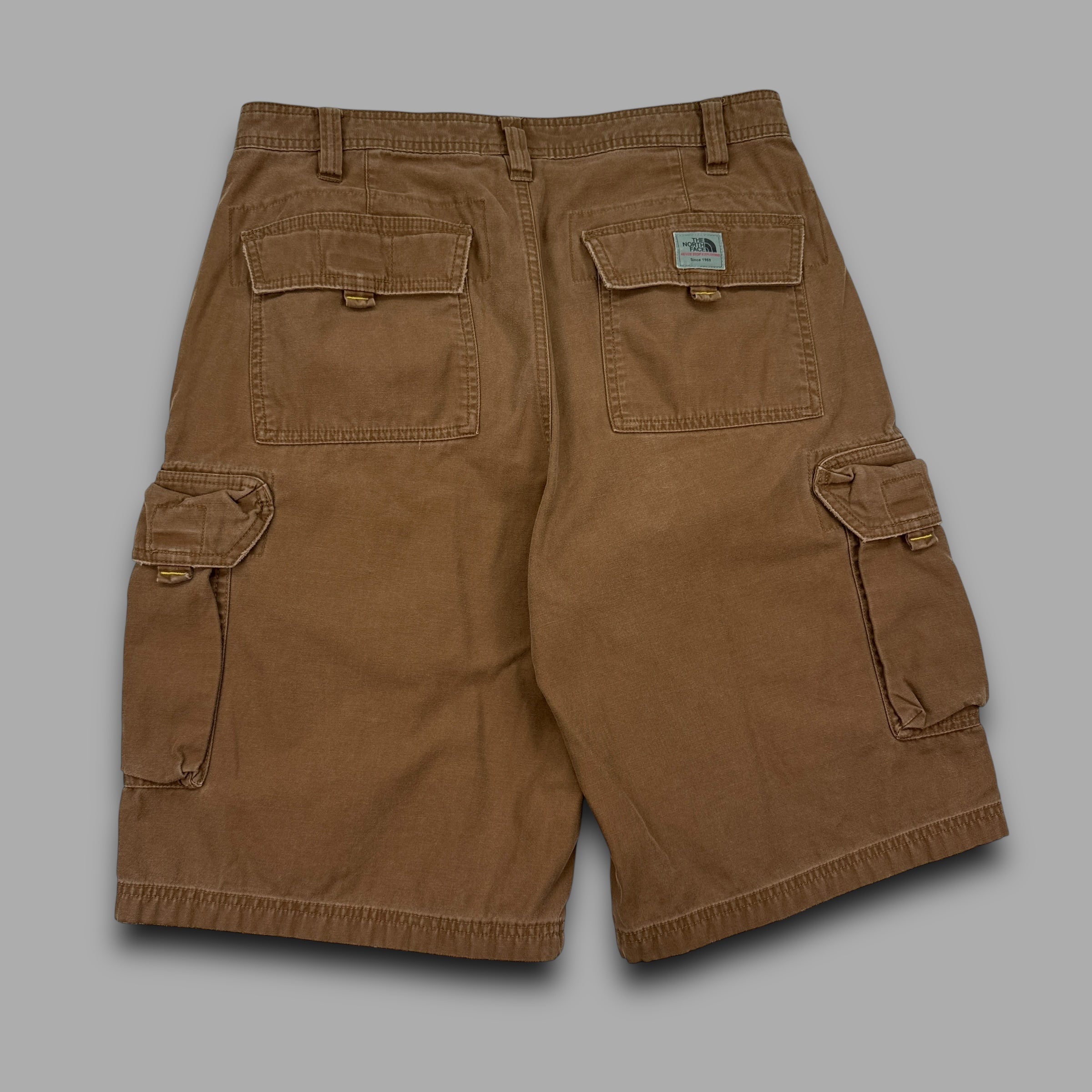 The north face 2000's technical A5 series baggy cargo shorts (M)