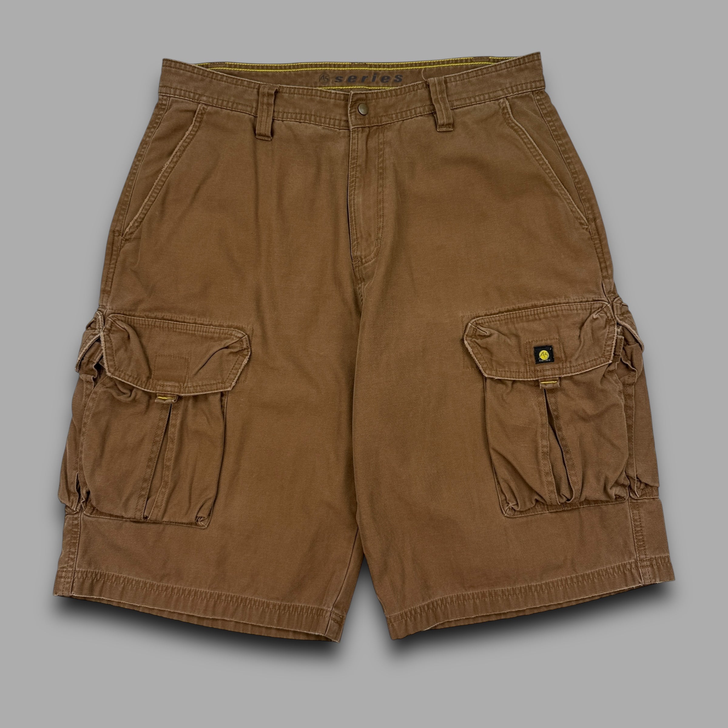 The north face 2000's technical A5 series baggy cargo shorts (M)