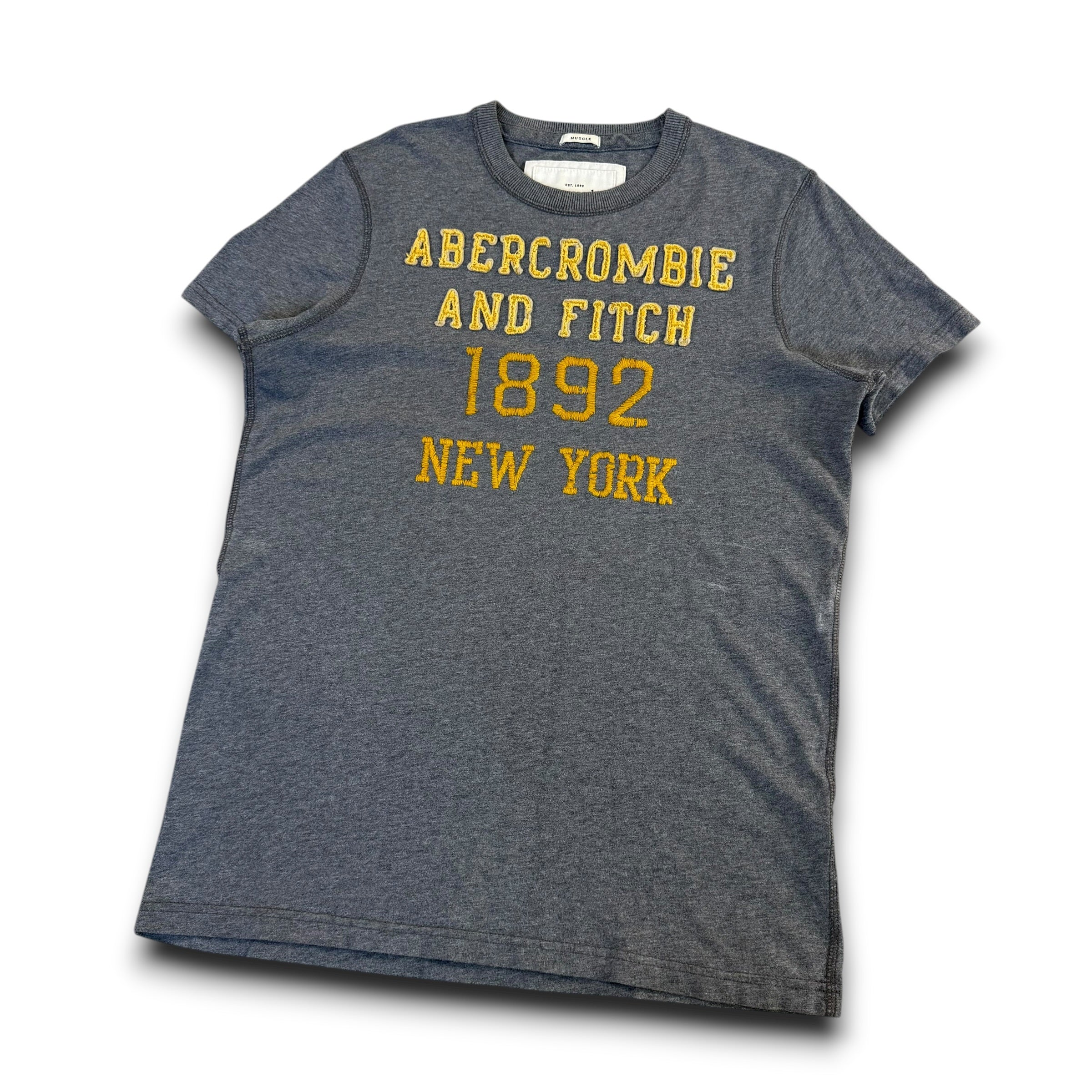 Abercrombie and fitch 2000's embroidered puff print muscle fit tee (M)