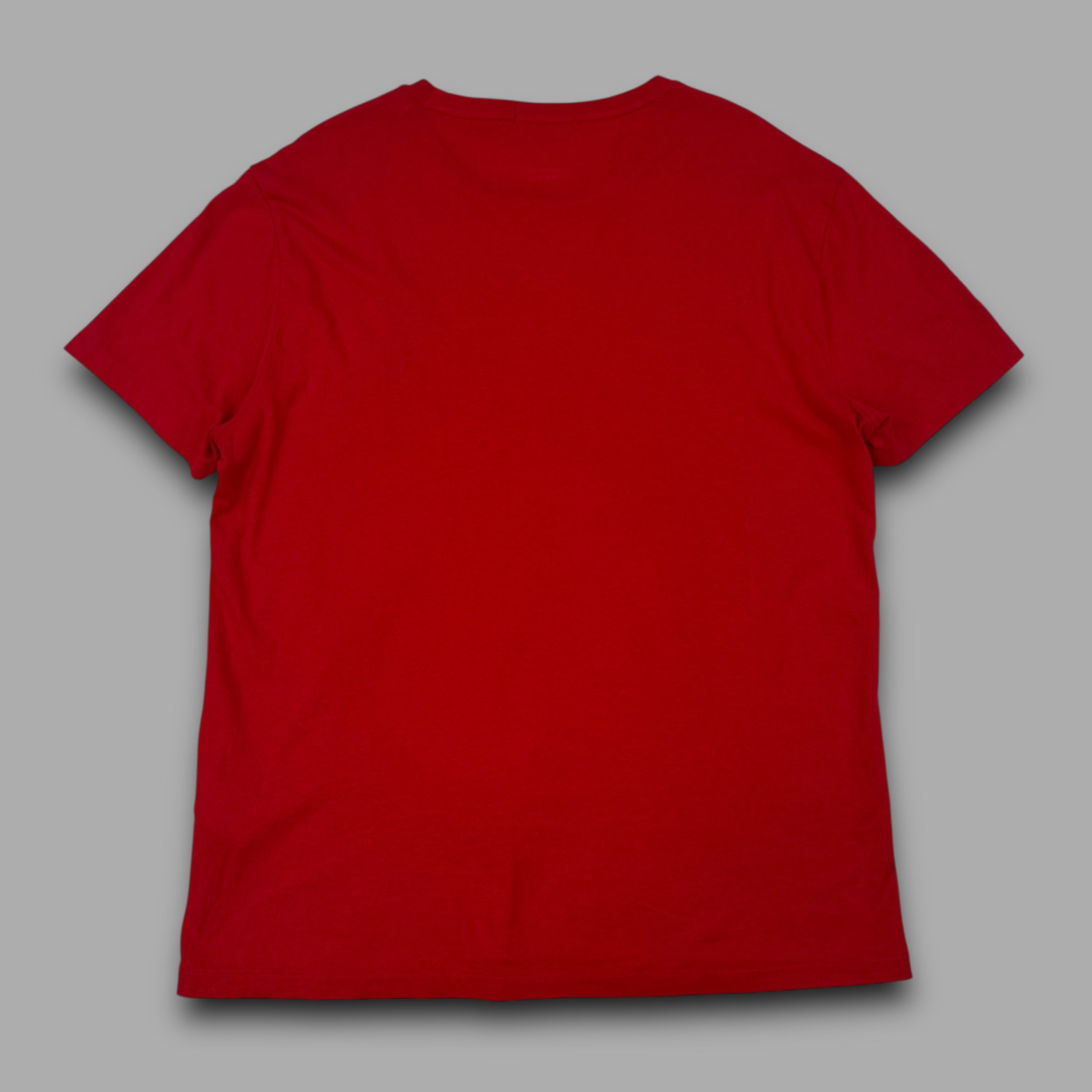 Ralph Lauren 2000's USA big pony embroidered tee (L)