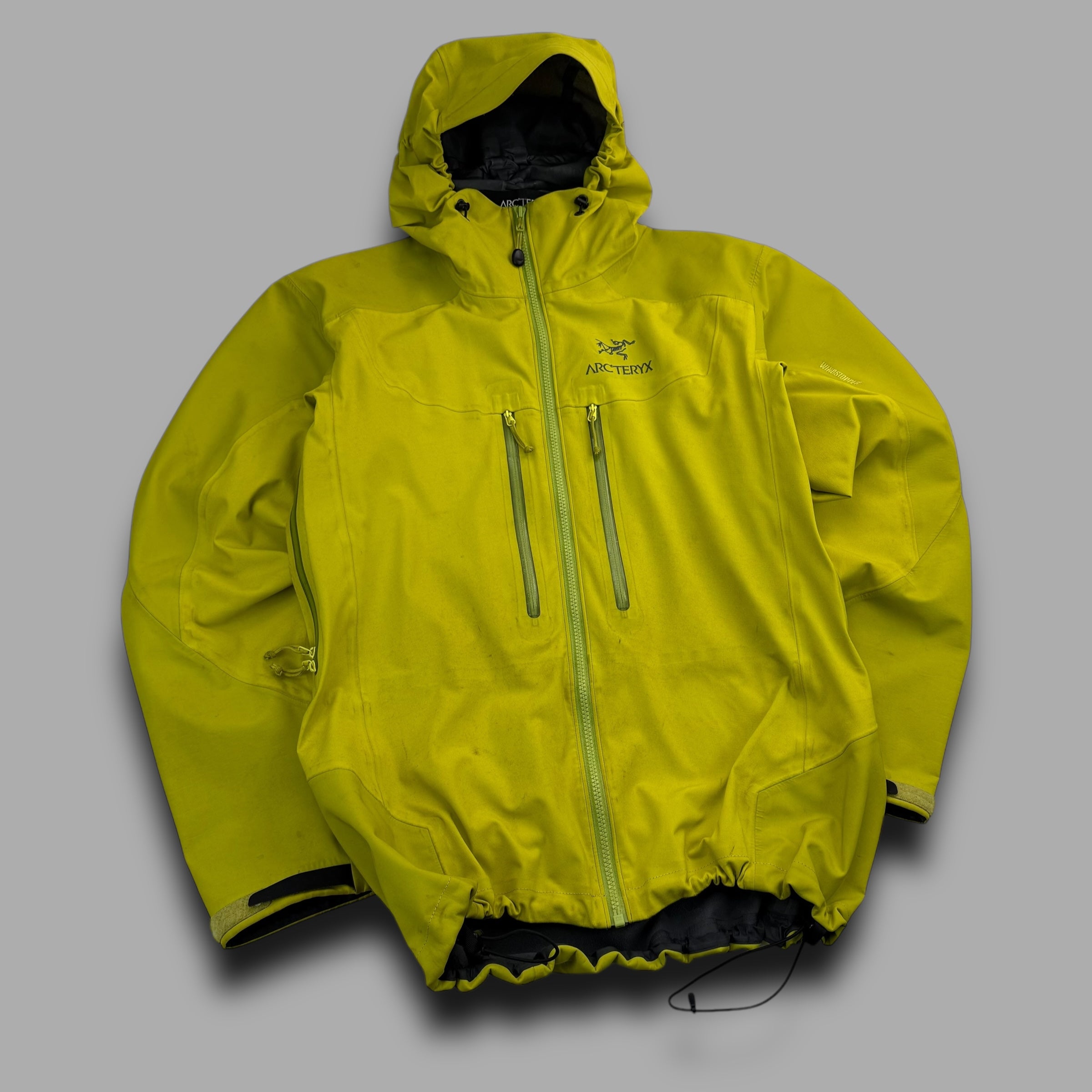 Arcteryx 2000's gore-tex alpha AR jacket (M)