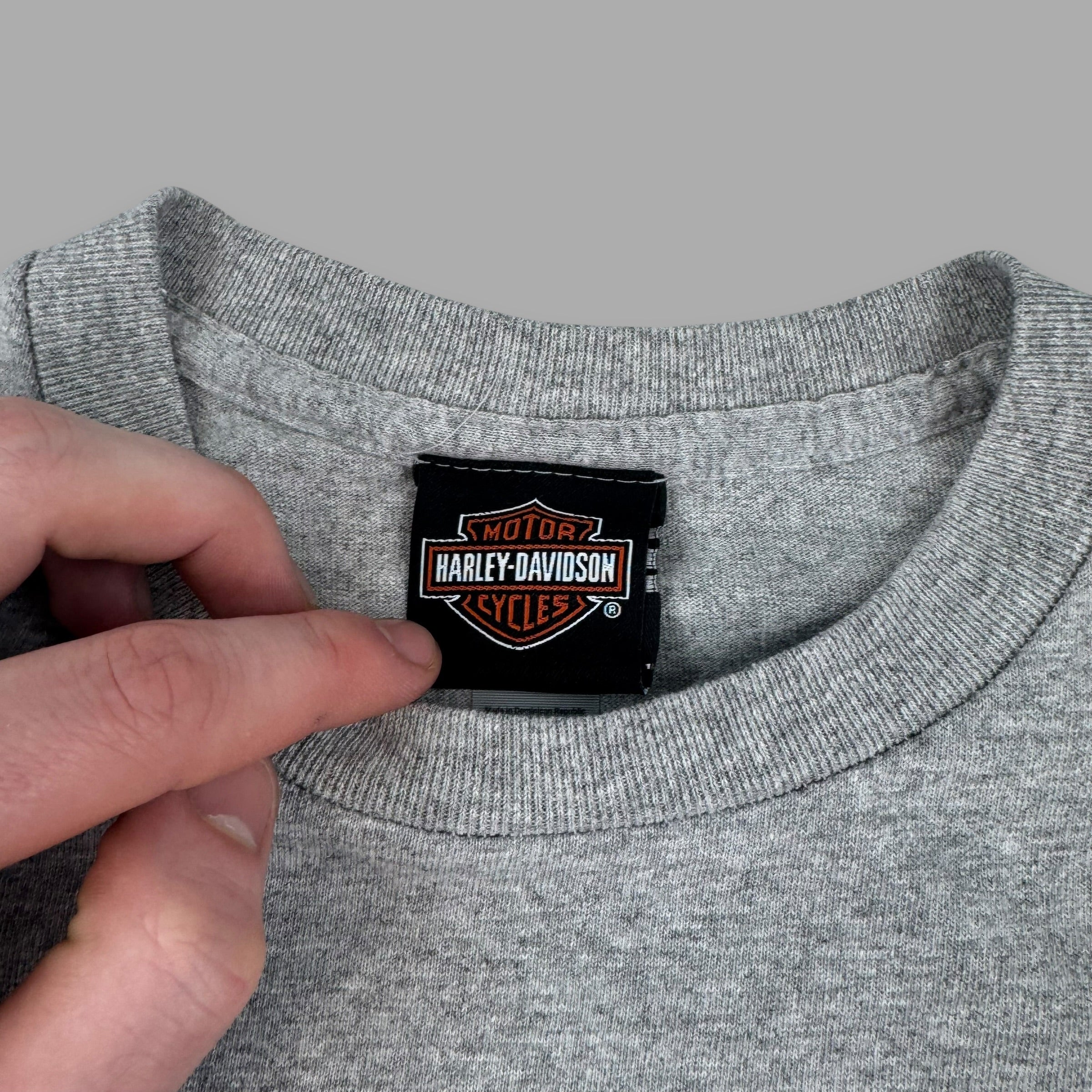 Harley Davidson 2000's graphic motorcycle tee (S)