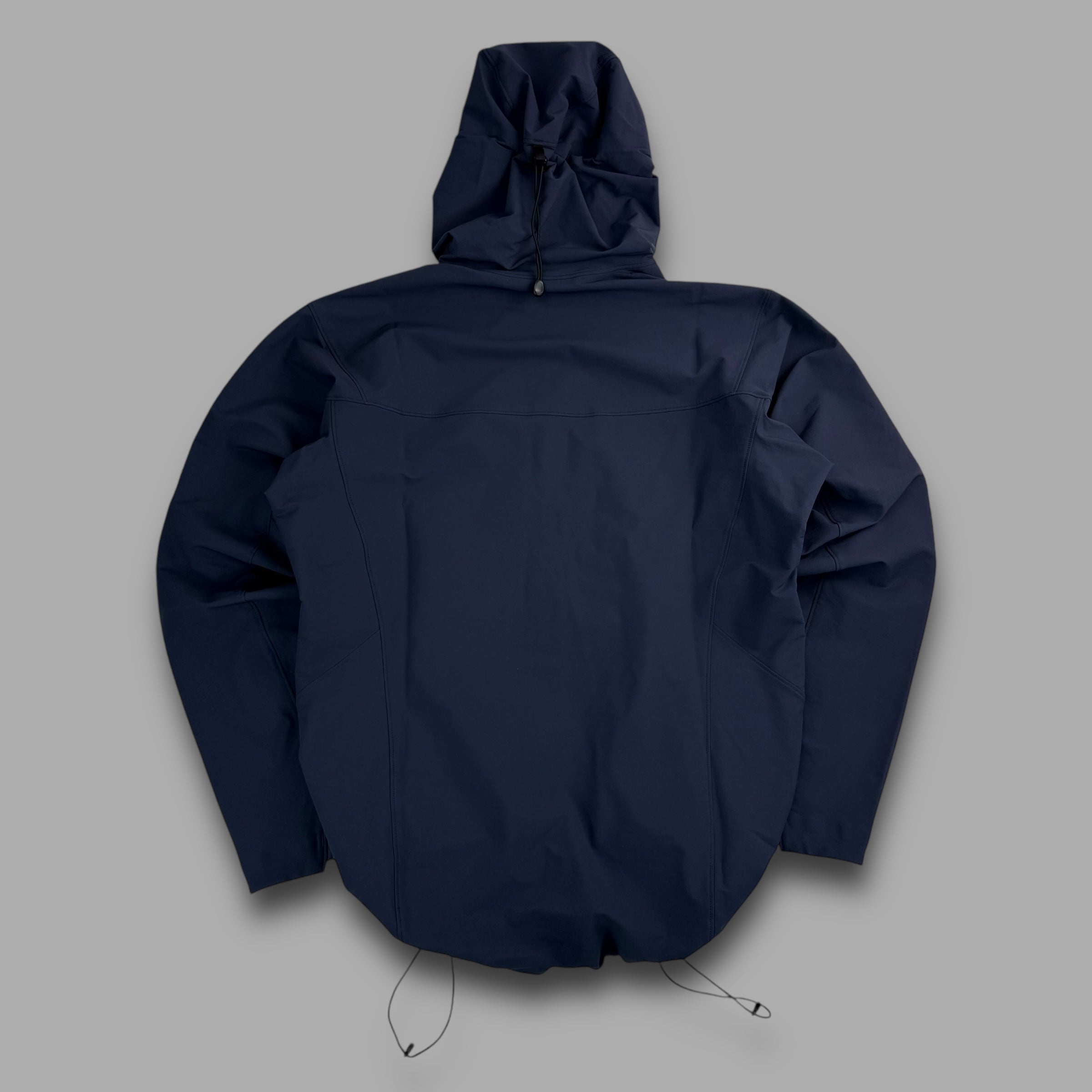 Arcteryx 2023 gamma SL hoody (L)