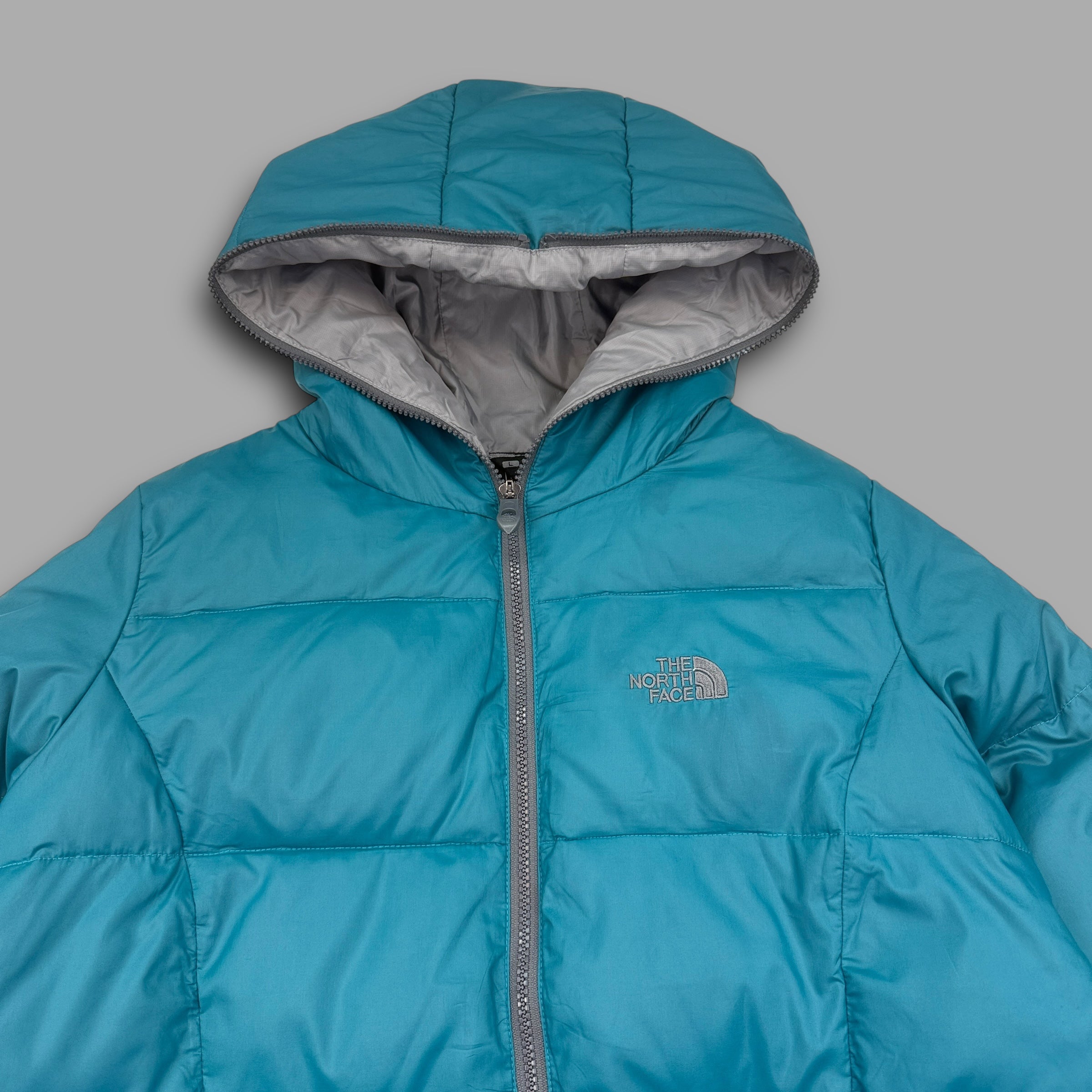 The north face 2000's technical full-zip puffer jacket (M)