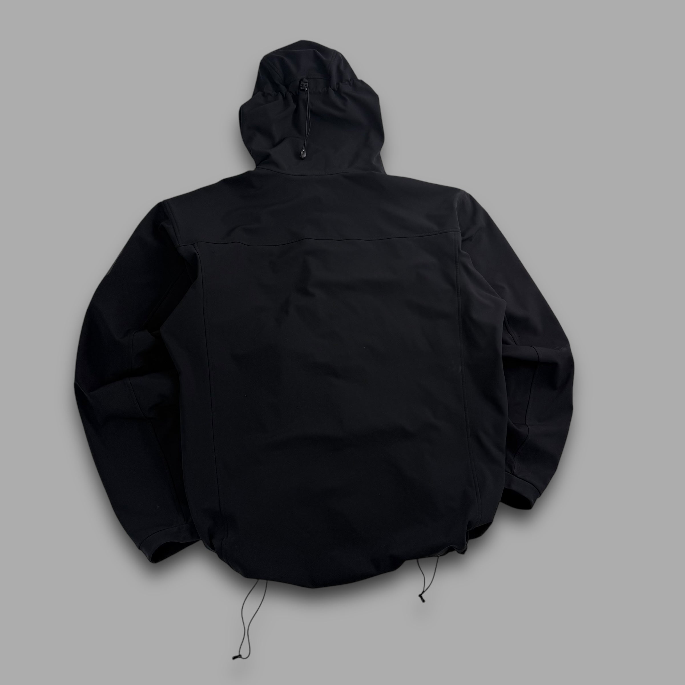 Arcteryx 2018 gamma MX hoody (XL)