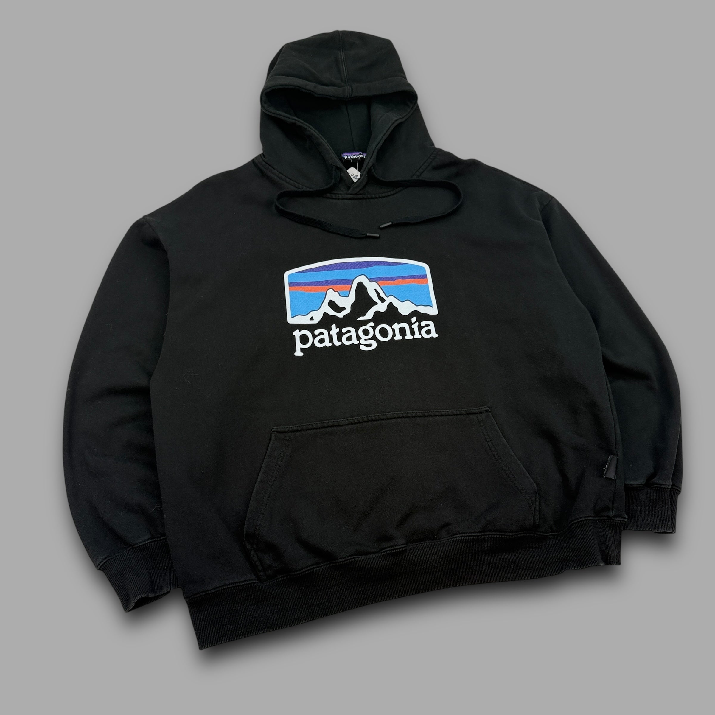 Patagonia graphic pullover hoodie (XL)