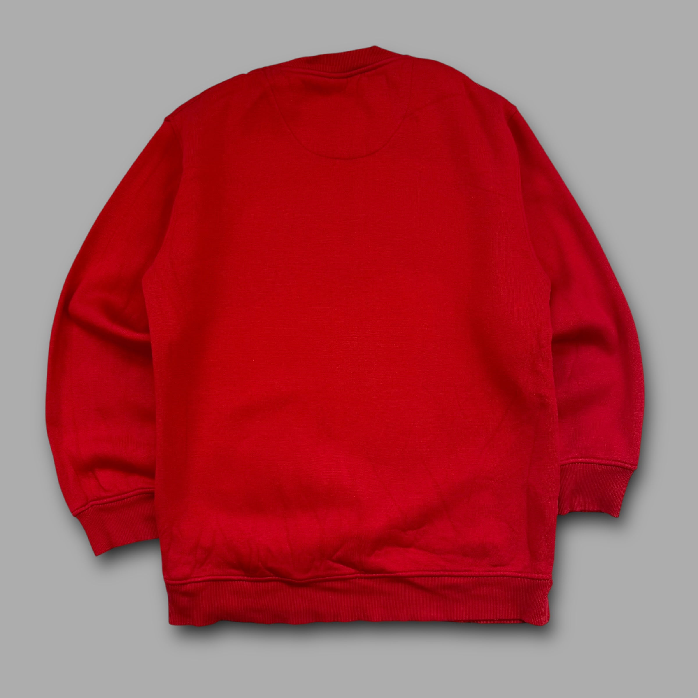 Southpole 2000's graphic embrodiered pullover sweatshirt (L)