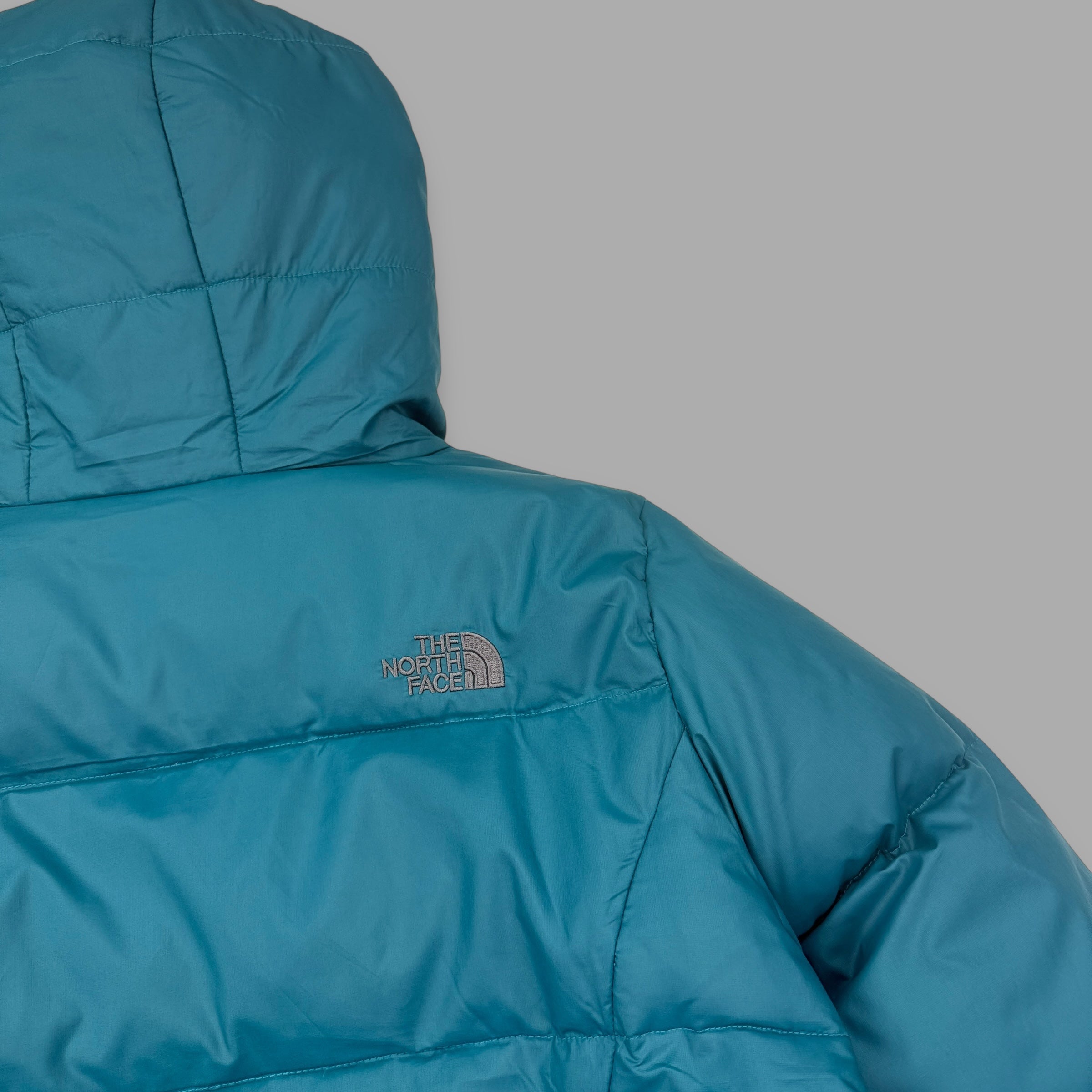 The north face 2000's technical full-zip puffer jacket (M)