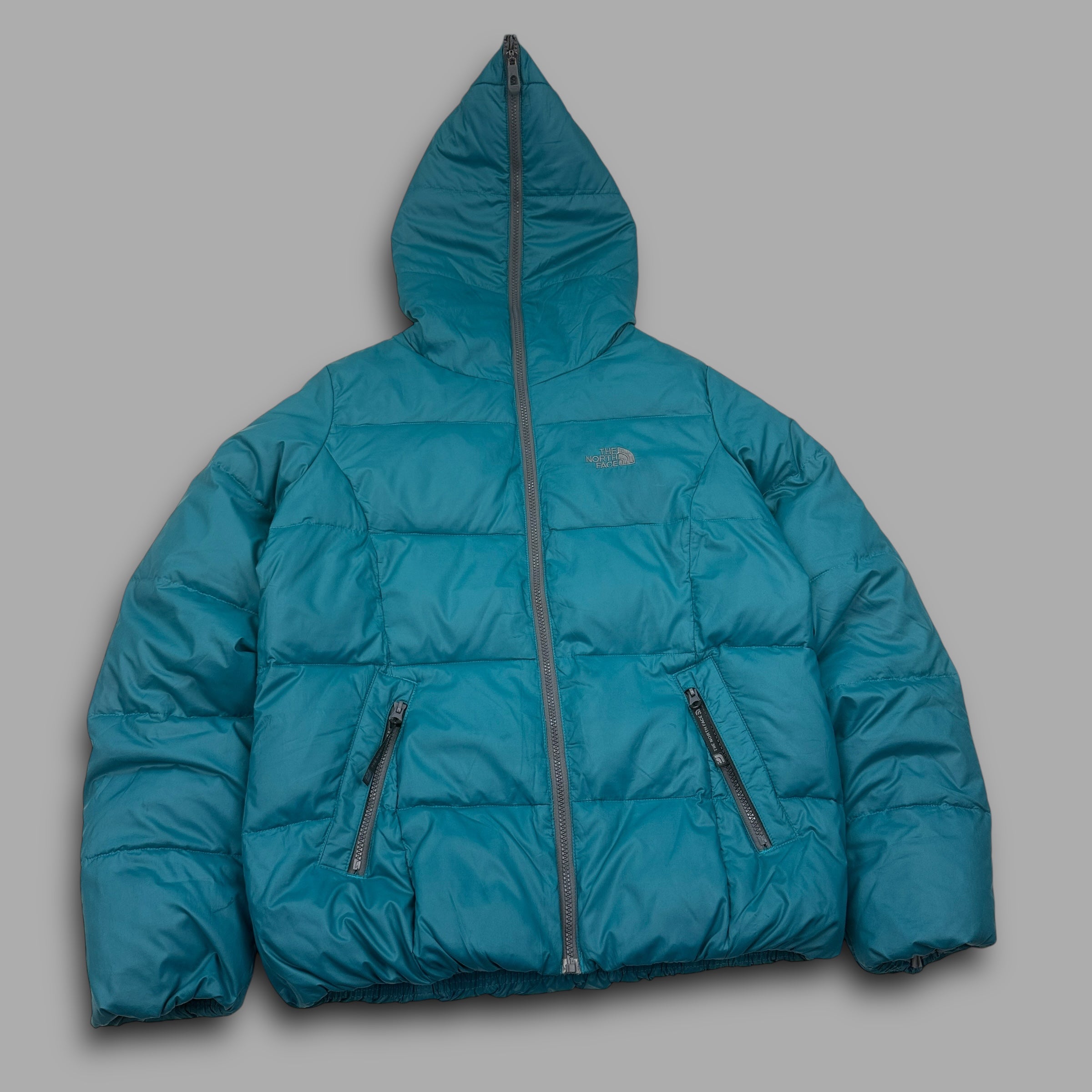 The north face 2000's technical full-zip puffer jacket (M)