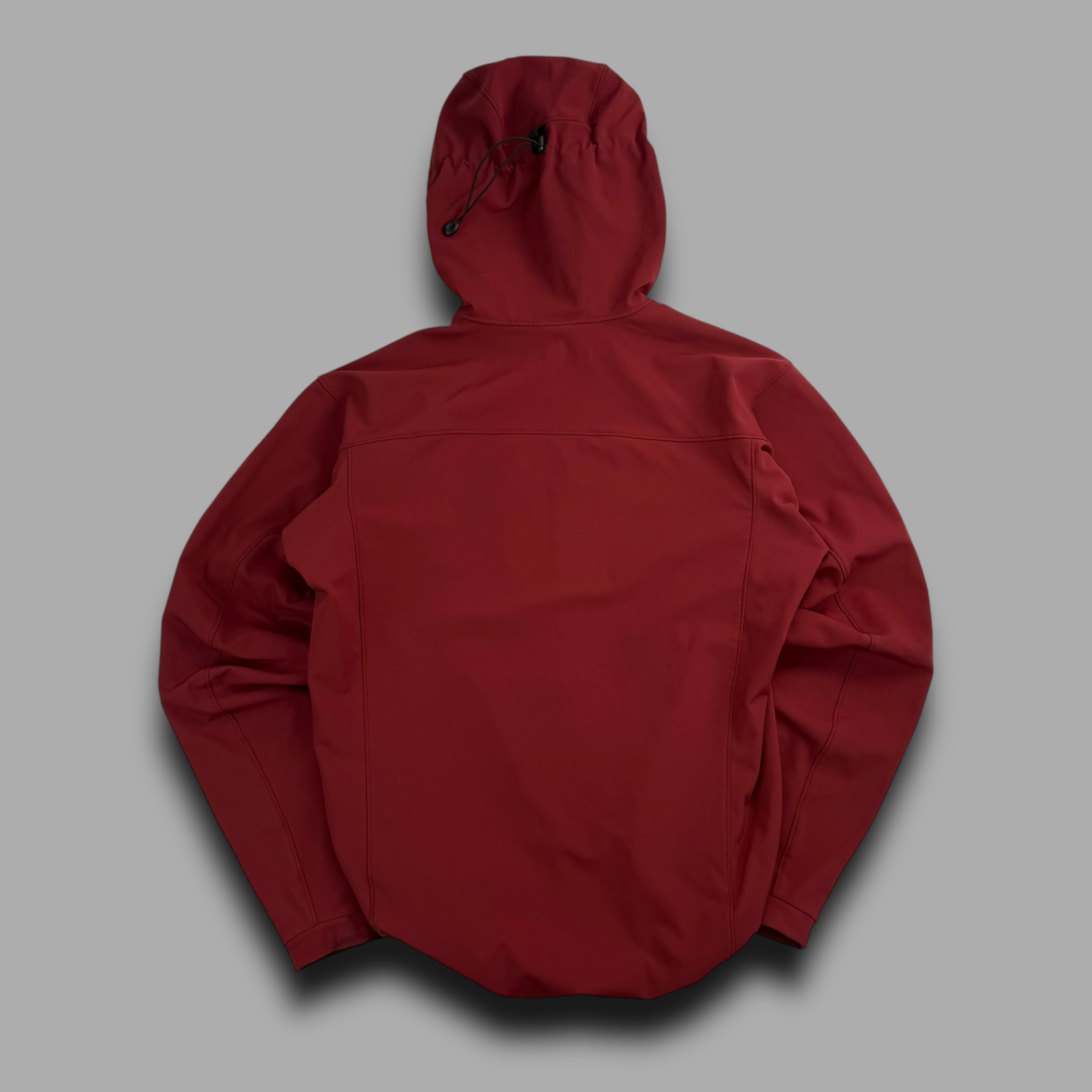 Arcteryx 2014 gamma MX jacket (M)