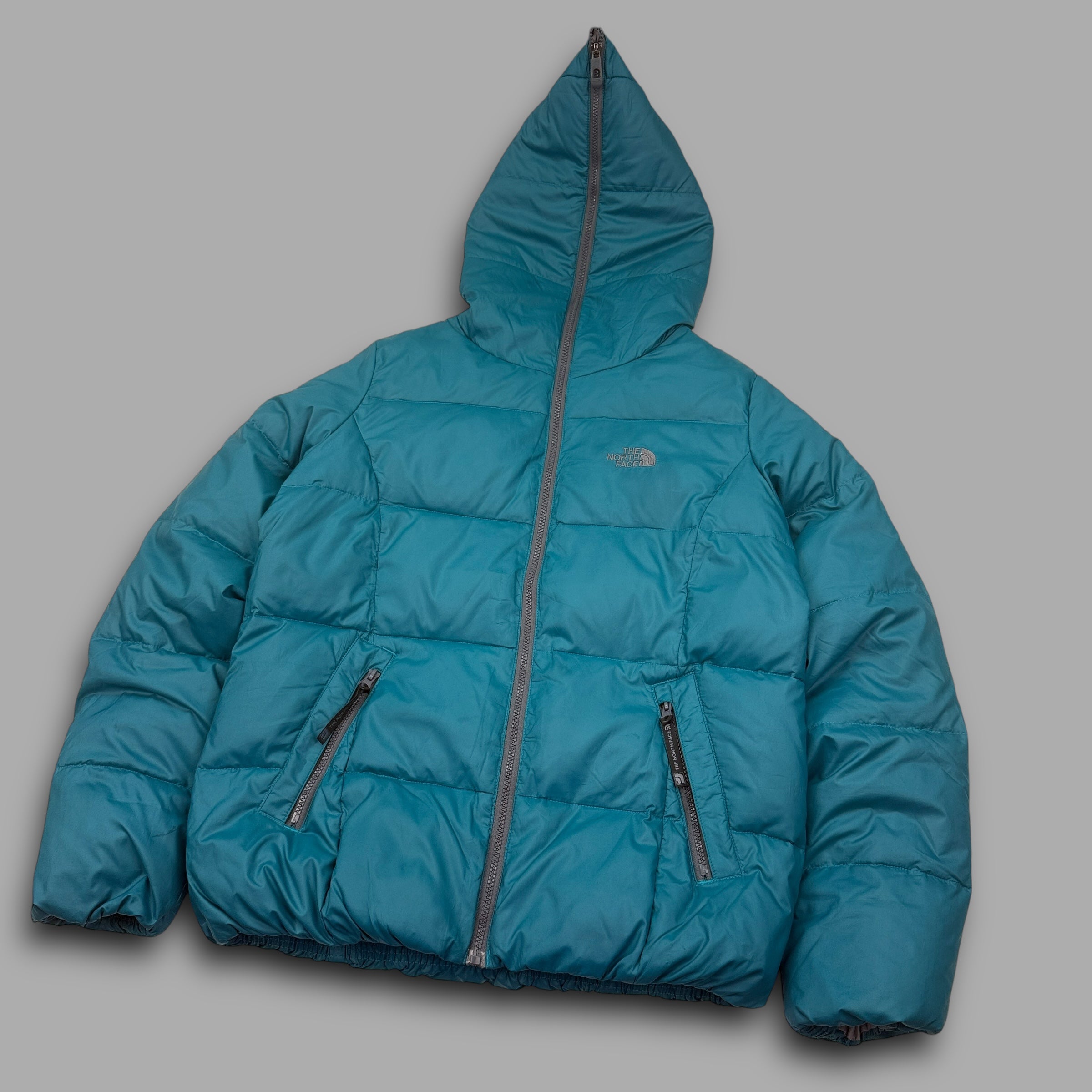 The north face 2000's technical full-zip puffer jacket (M)