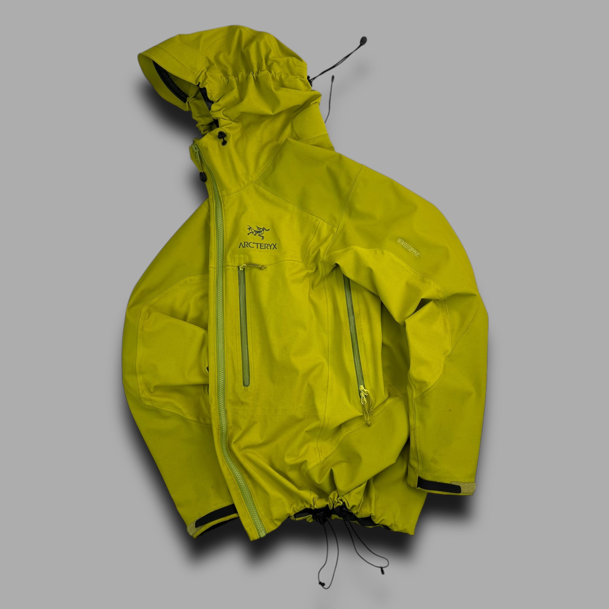 Arcteryx 2000's gore-tex alpha AR jacket (M)