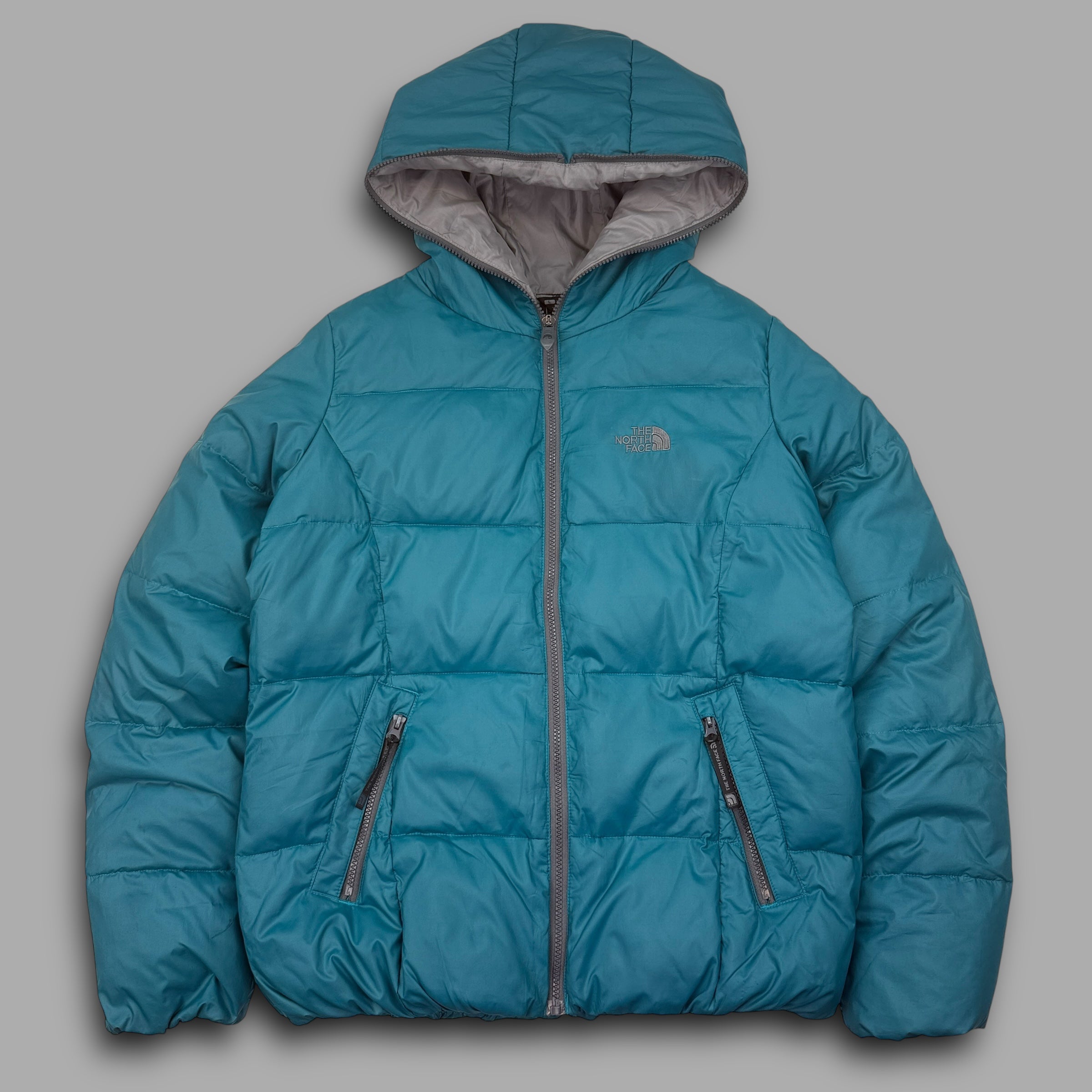 The north face 2000's technical full-zip puffer jacket (M)