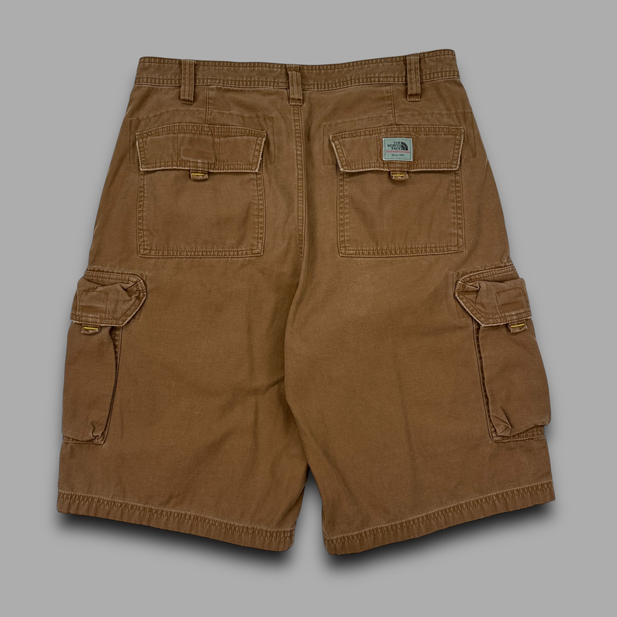 The north face 2000's technical A5 series baggy cargo shorts (M)