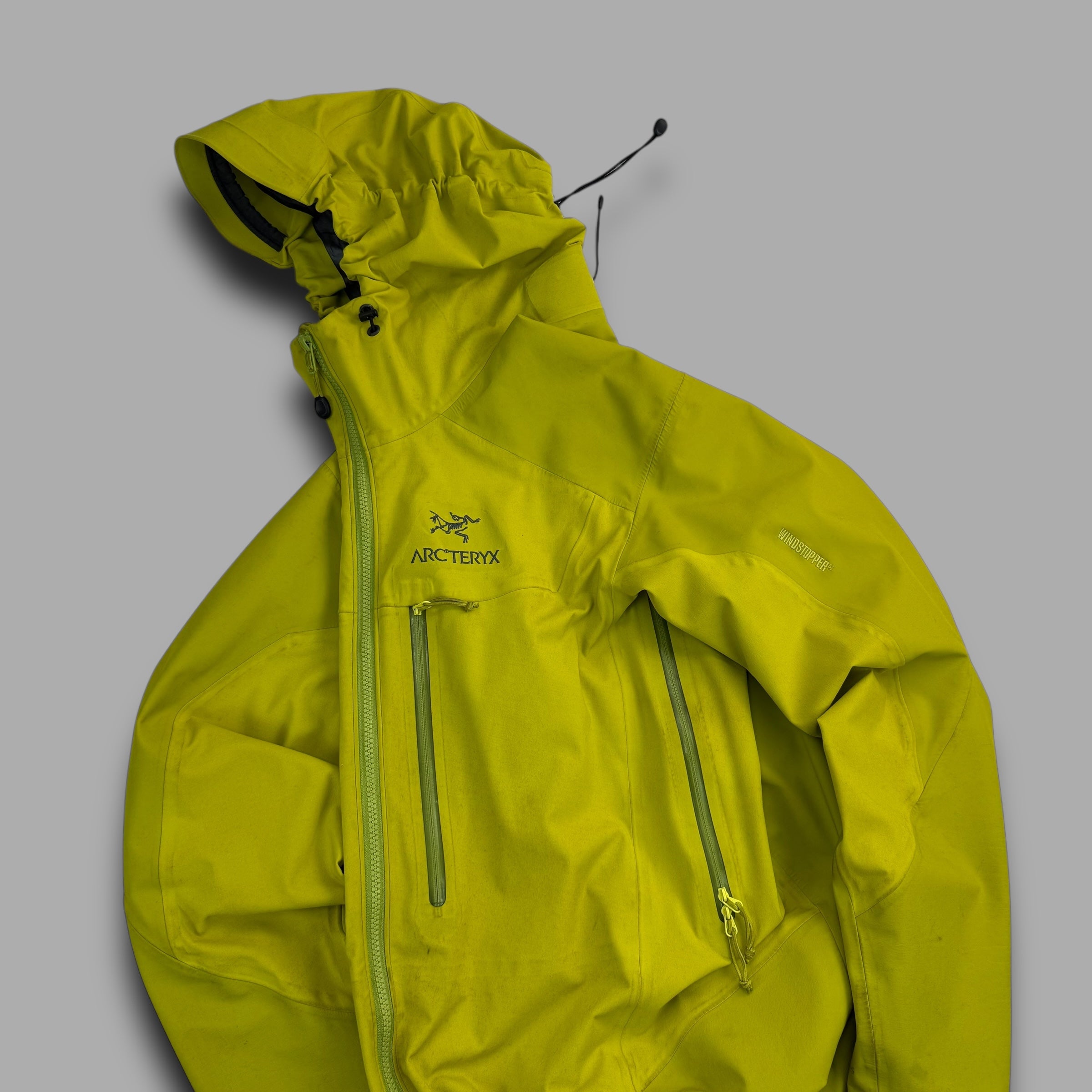 Arcteryx 2000's gore-tex alpha AR jacket (M)