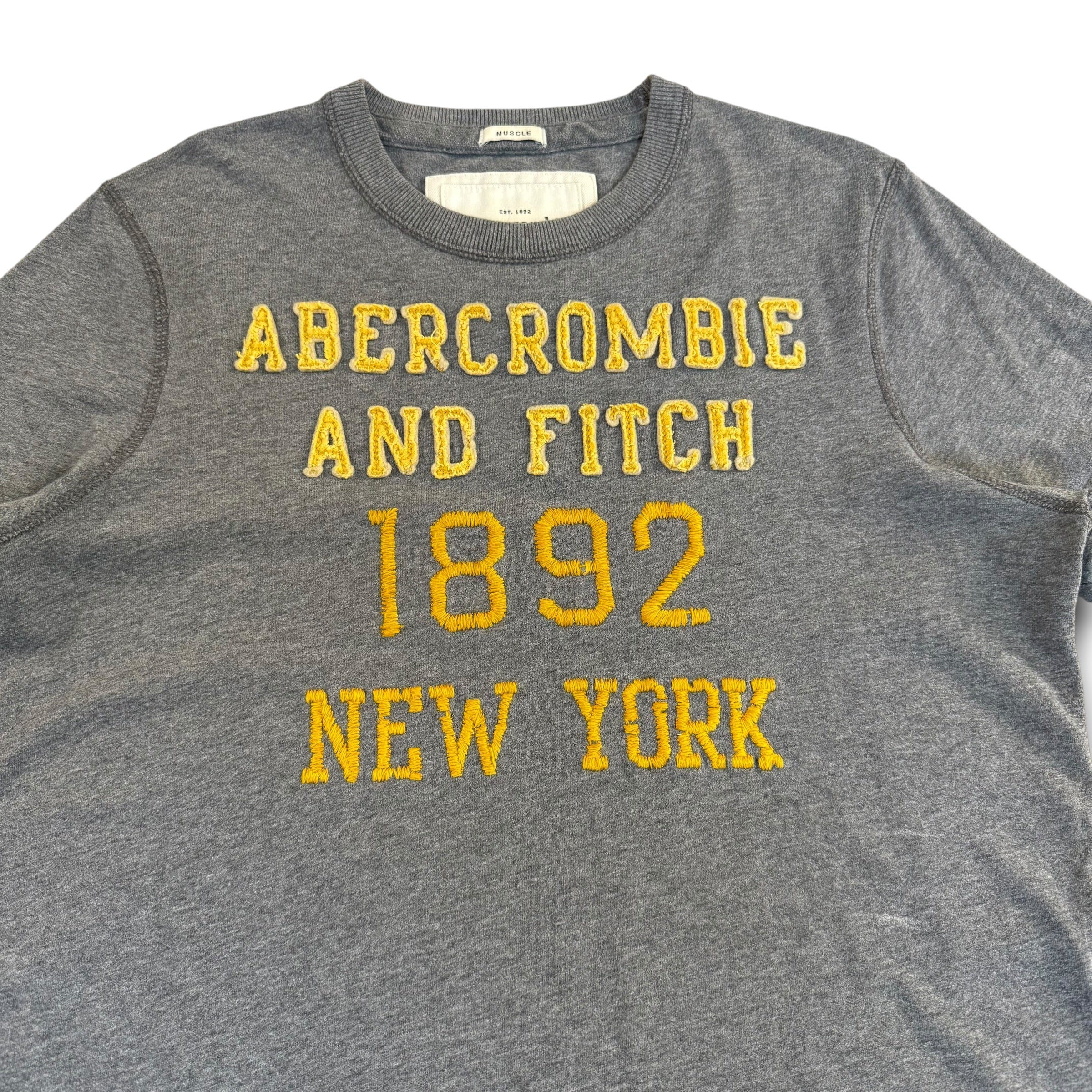 Abercrombie and fitch 2000's embroidered puff print muscle fit tee (M)