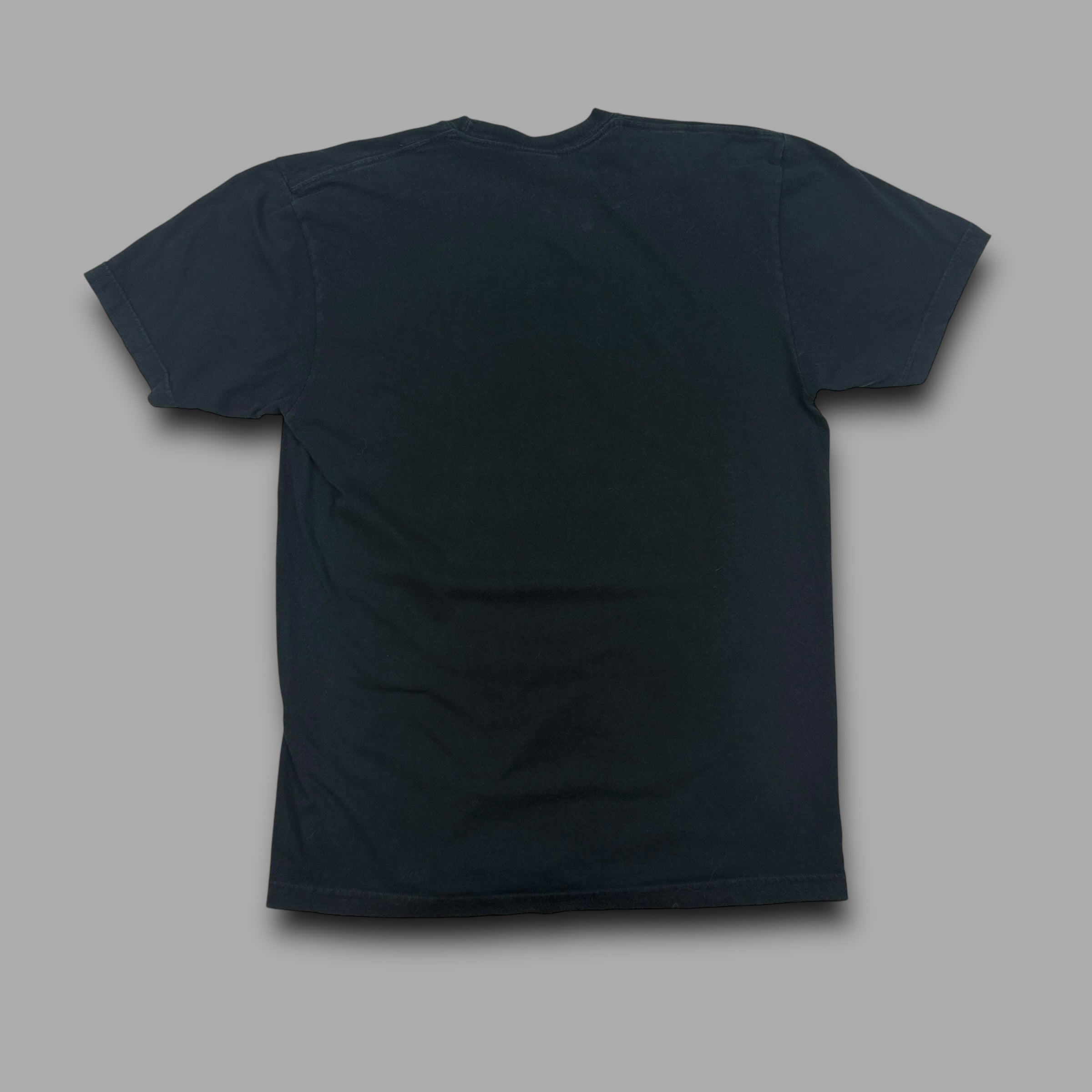 Apestein 2000's graphic choppers rule tee (S)