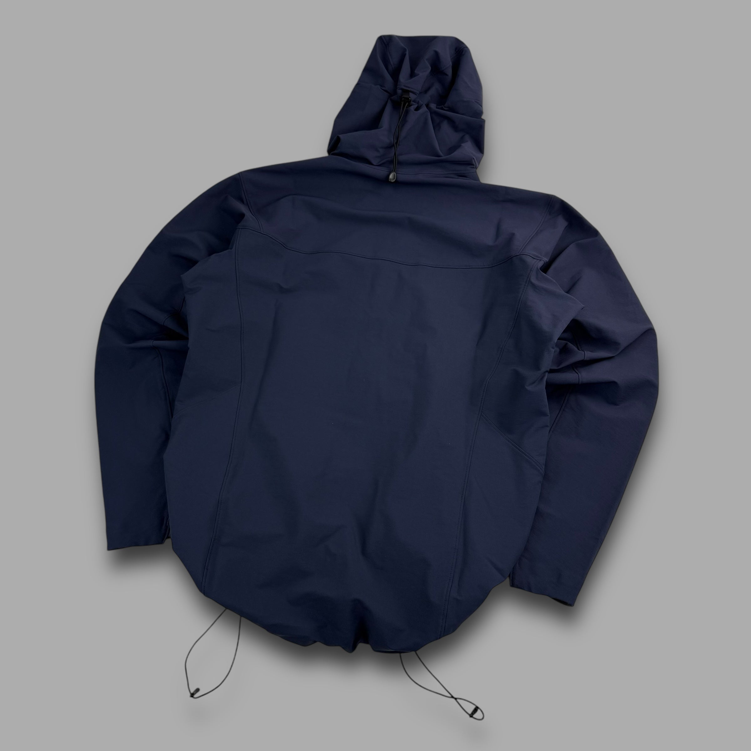 Arcteryx 2023 gamma SL hoody (L)