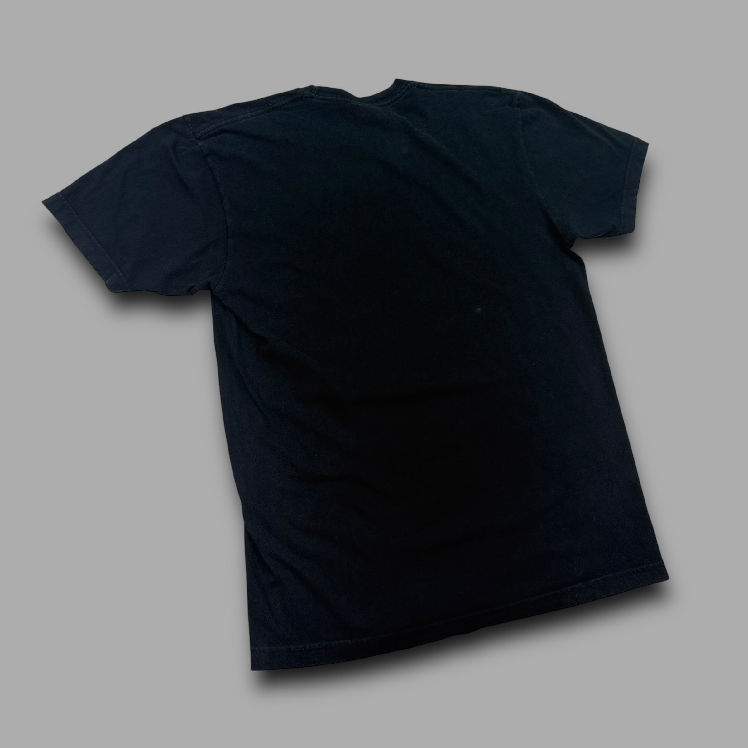 Apestein 2000's graphic choppers rule tee (S)