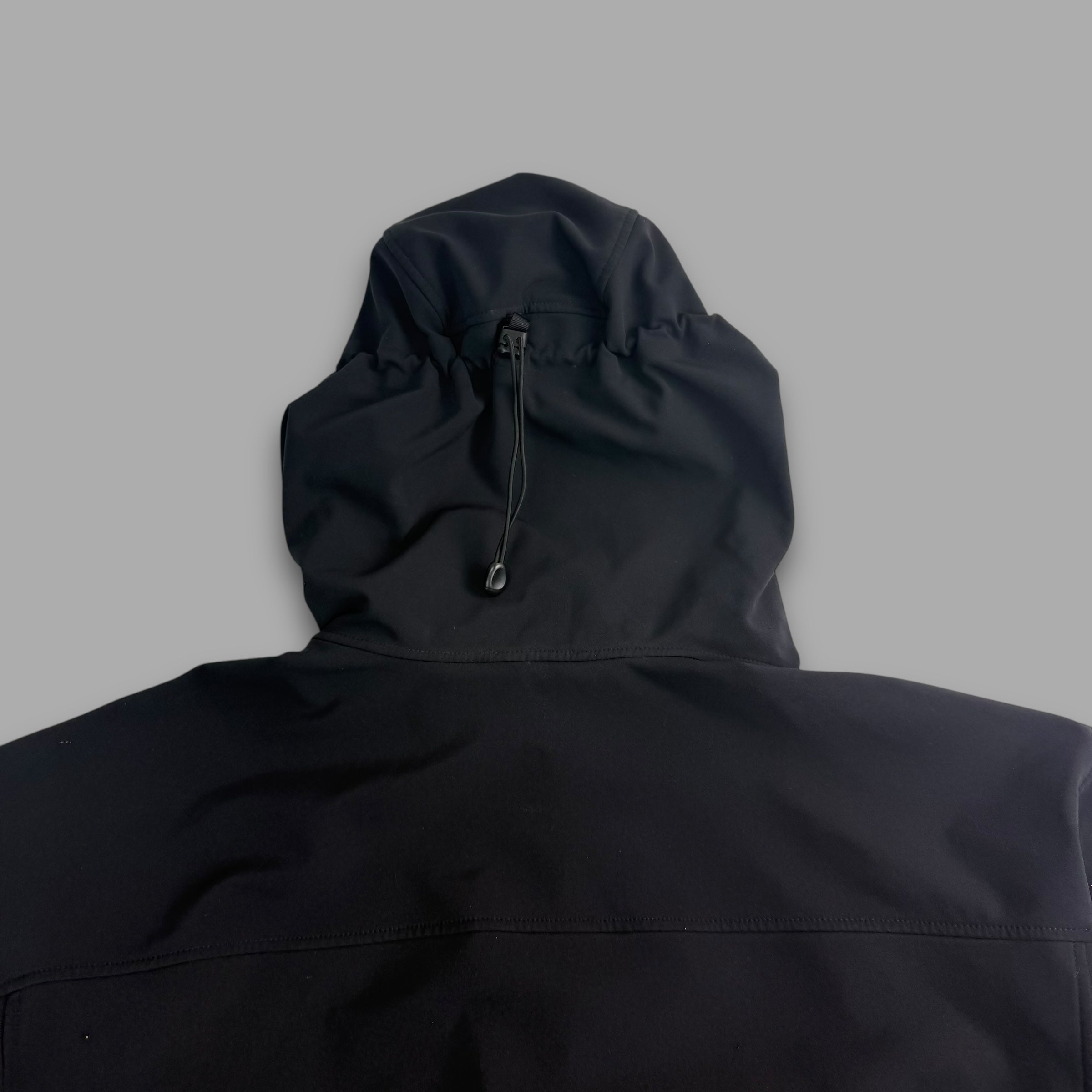 Arcteryx 2018 gamma MX hoody (XL)