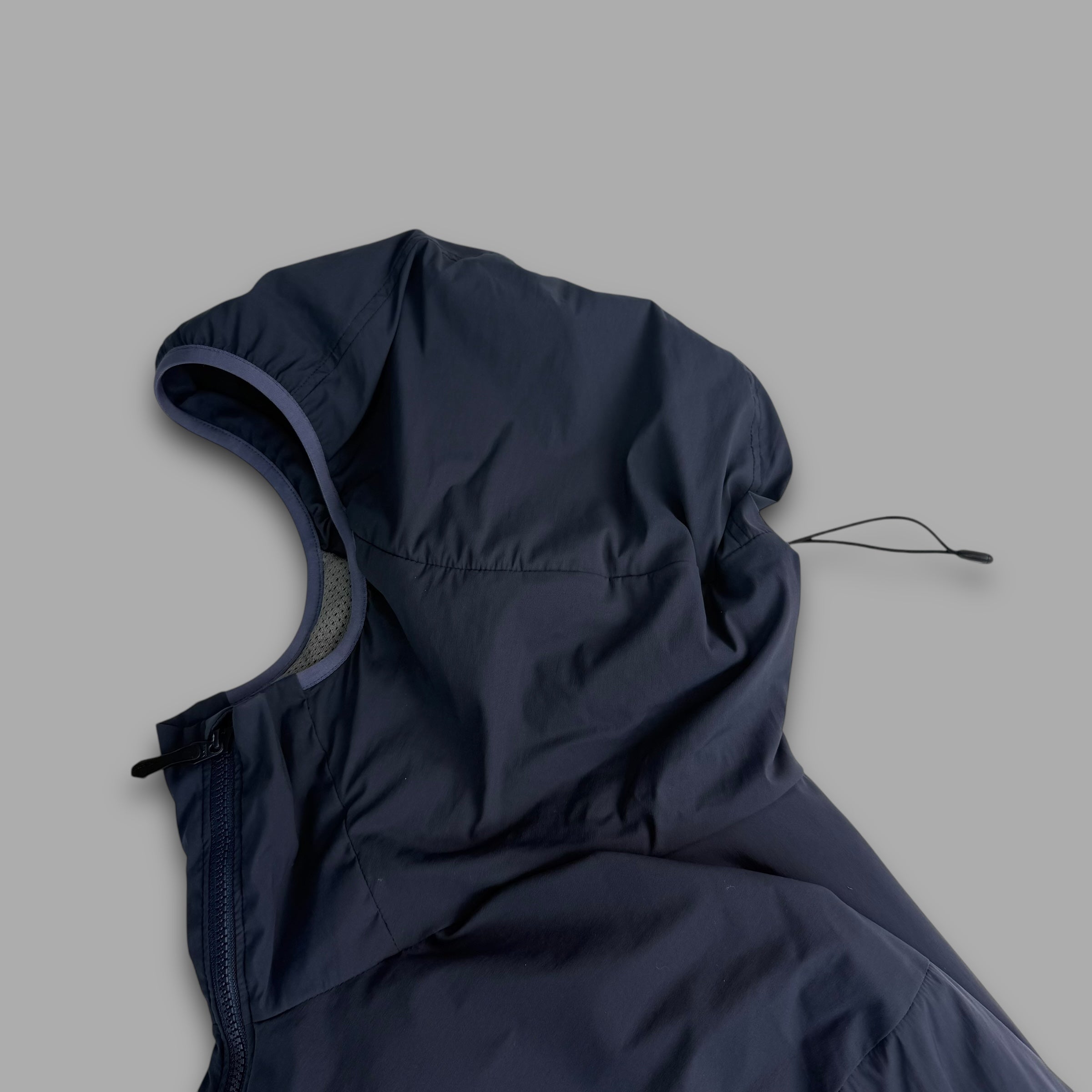 Arcteryx 2018 proton FL hoody (XL) wms