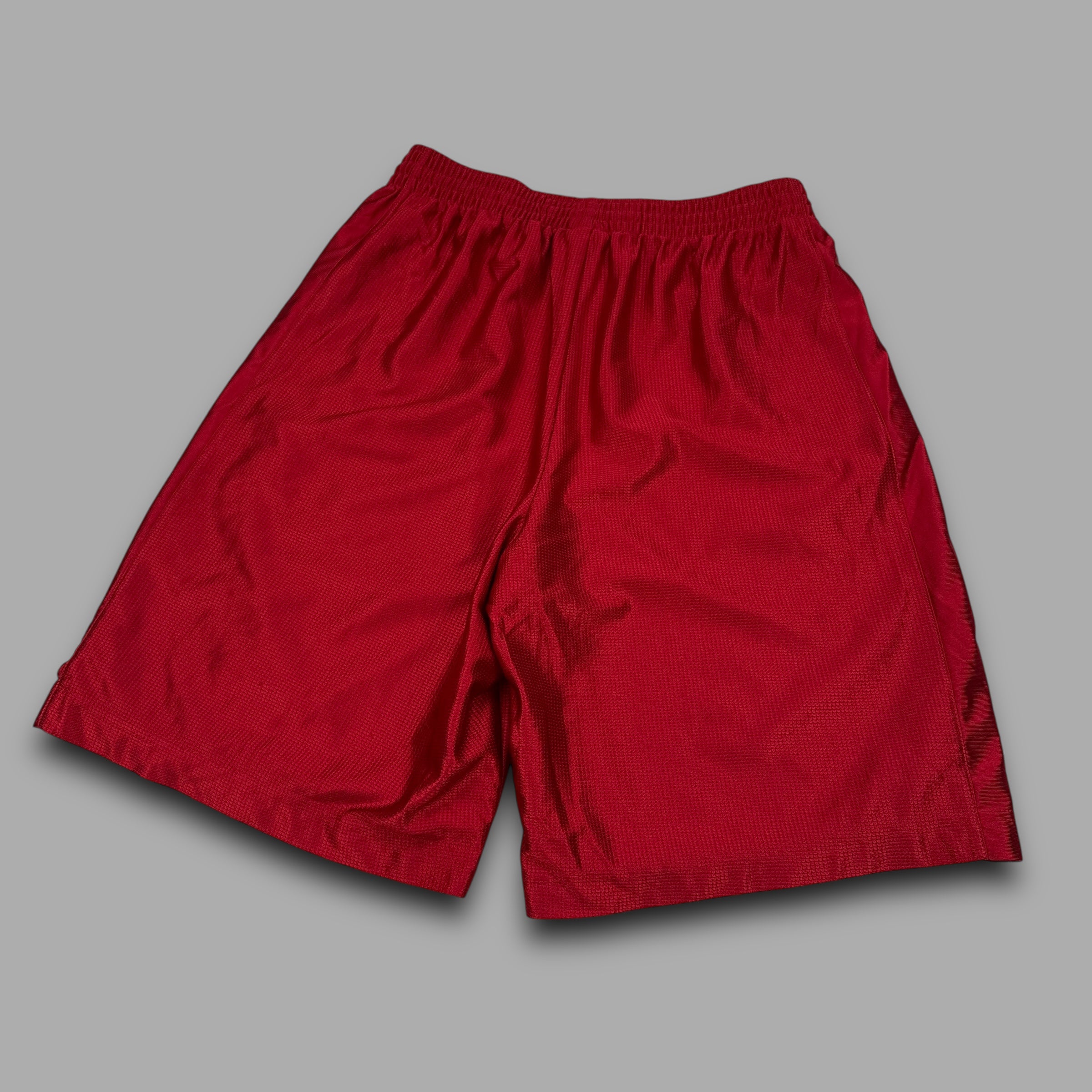 Nike 2000's nylon shimmer basketball shorts (M)