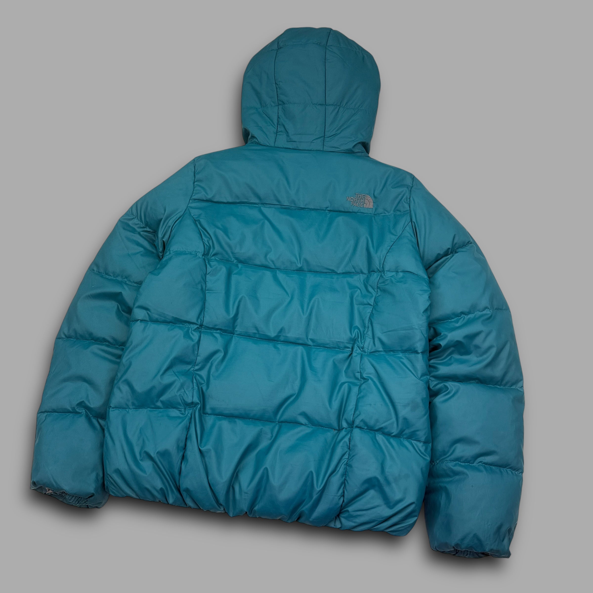 The north face 2000's technical full-zip puffer jacket (M)