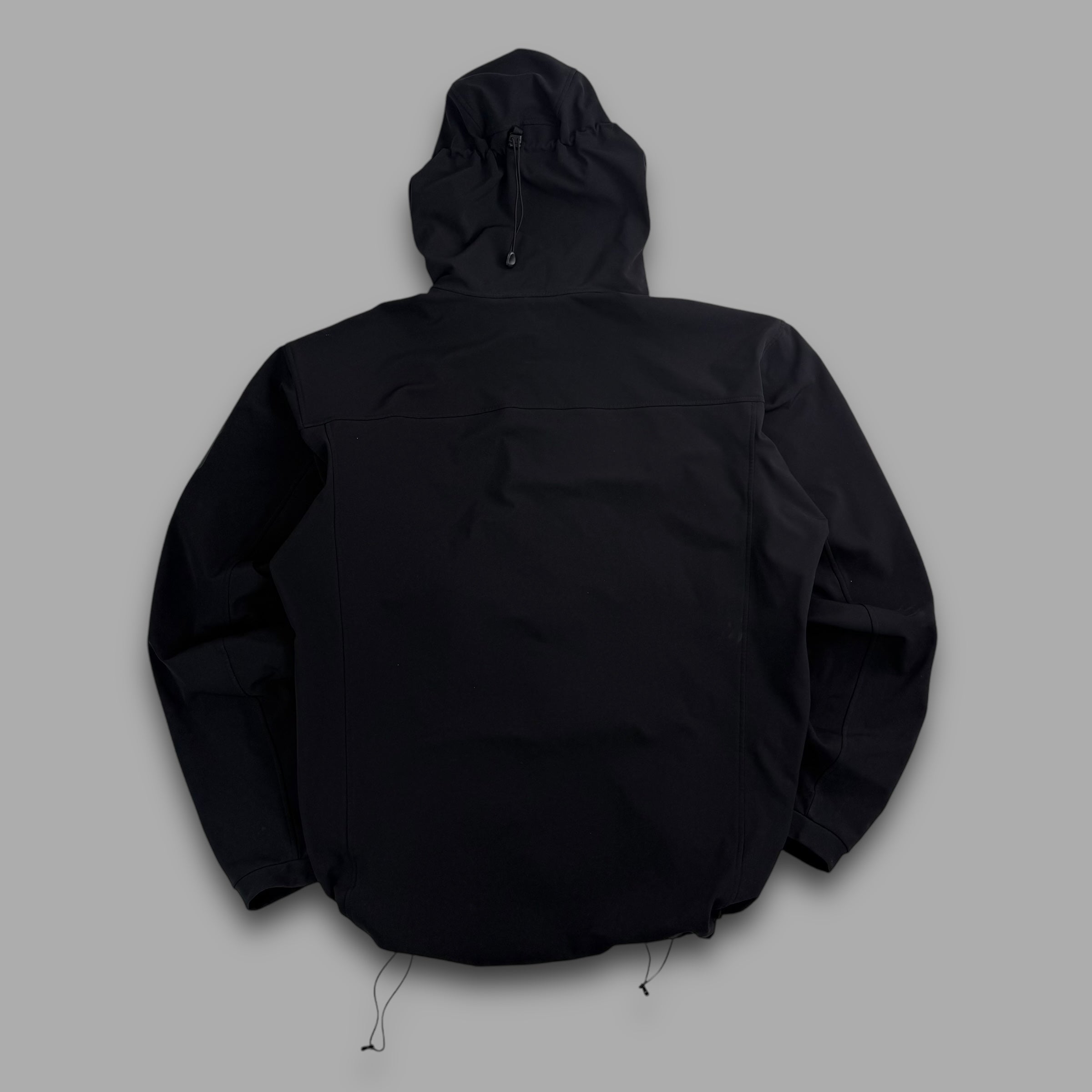 Arcteryx 2018 gamma MX hoody (XL)