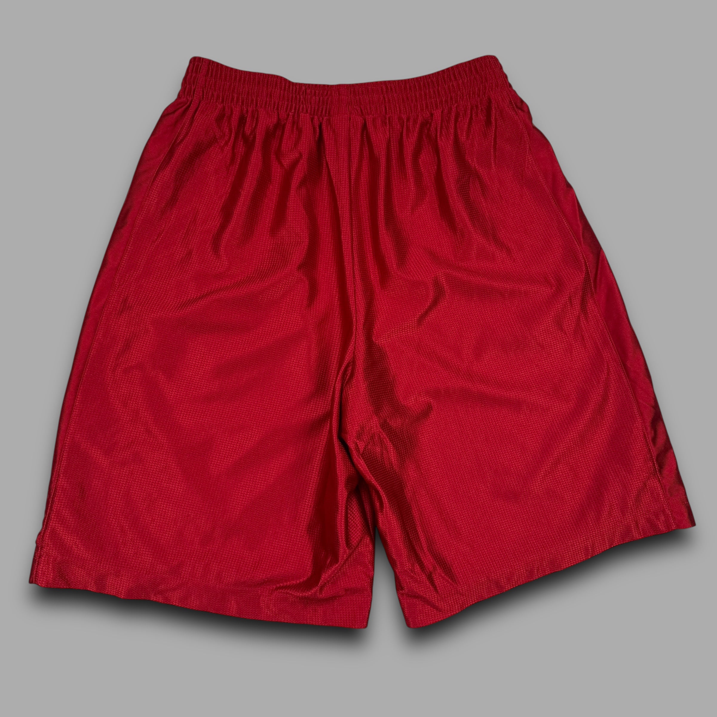 Nike 2000's nylon shimmer basketball shorts (M)