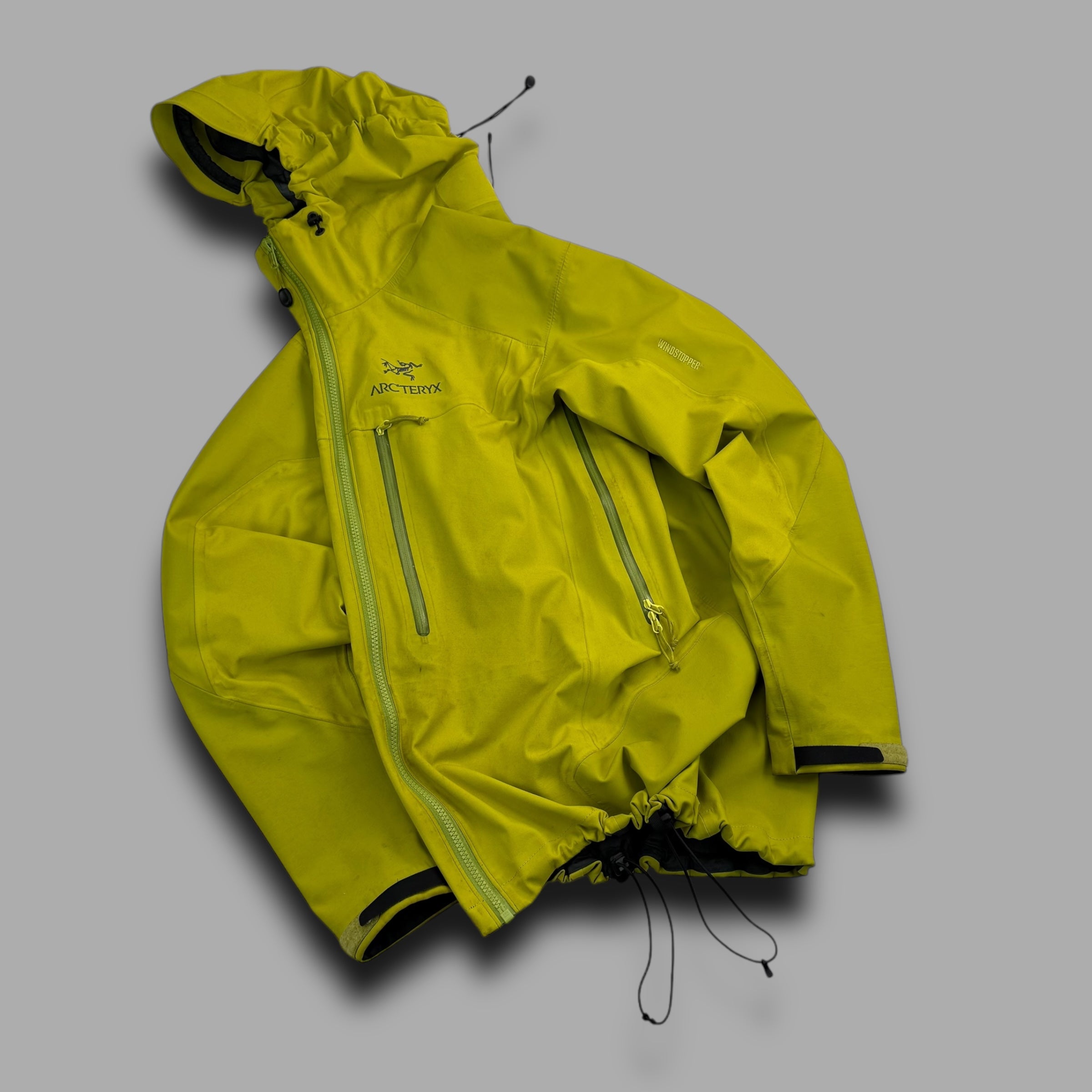 Arcteryx 2000's gore-tex alpha AR jacket (M)