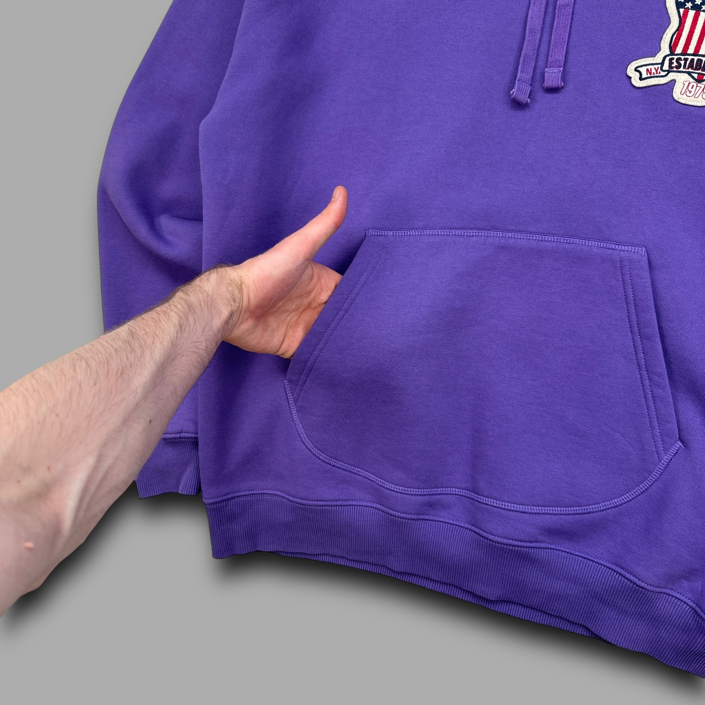 Avirex 2000's graphic embroidered sample hoodie (M)