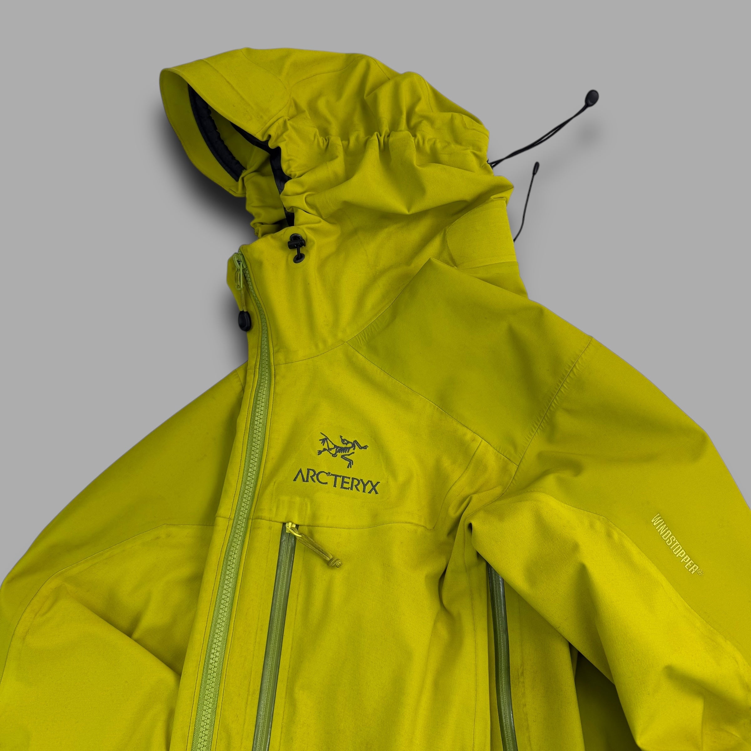 Arcteryx 2000's gore-tex alpha AR jacket (M)