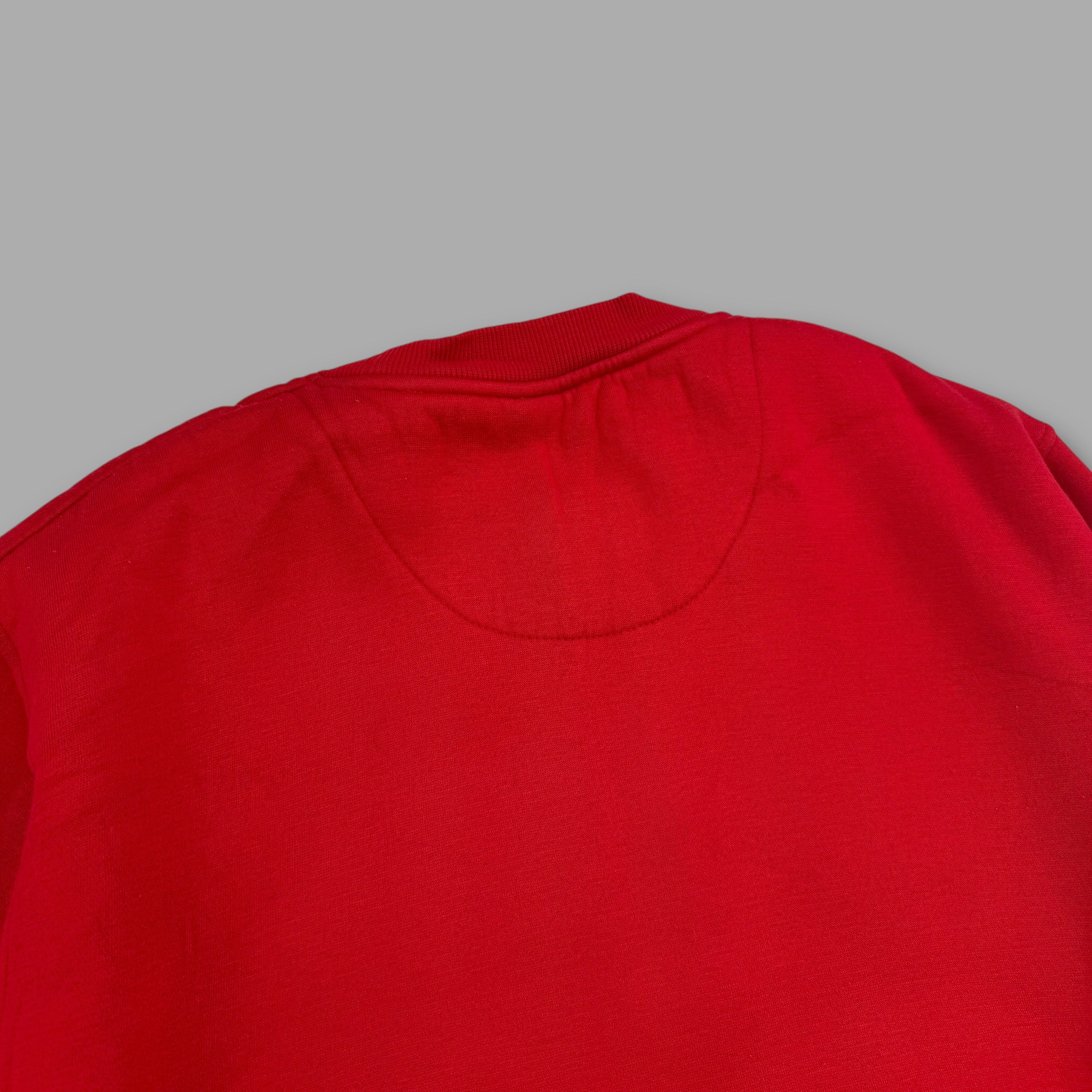 Southpole 2000's graphic embrodiered pullover sweatshirt (L)