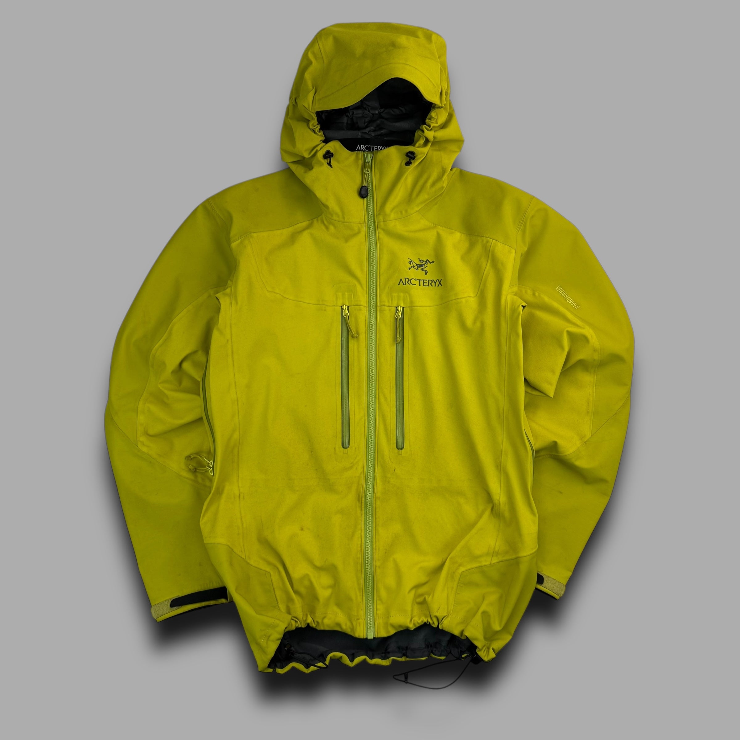 Arcteryx 2000's gore-tex alpha AR jacket (M)