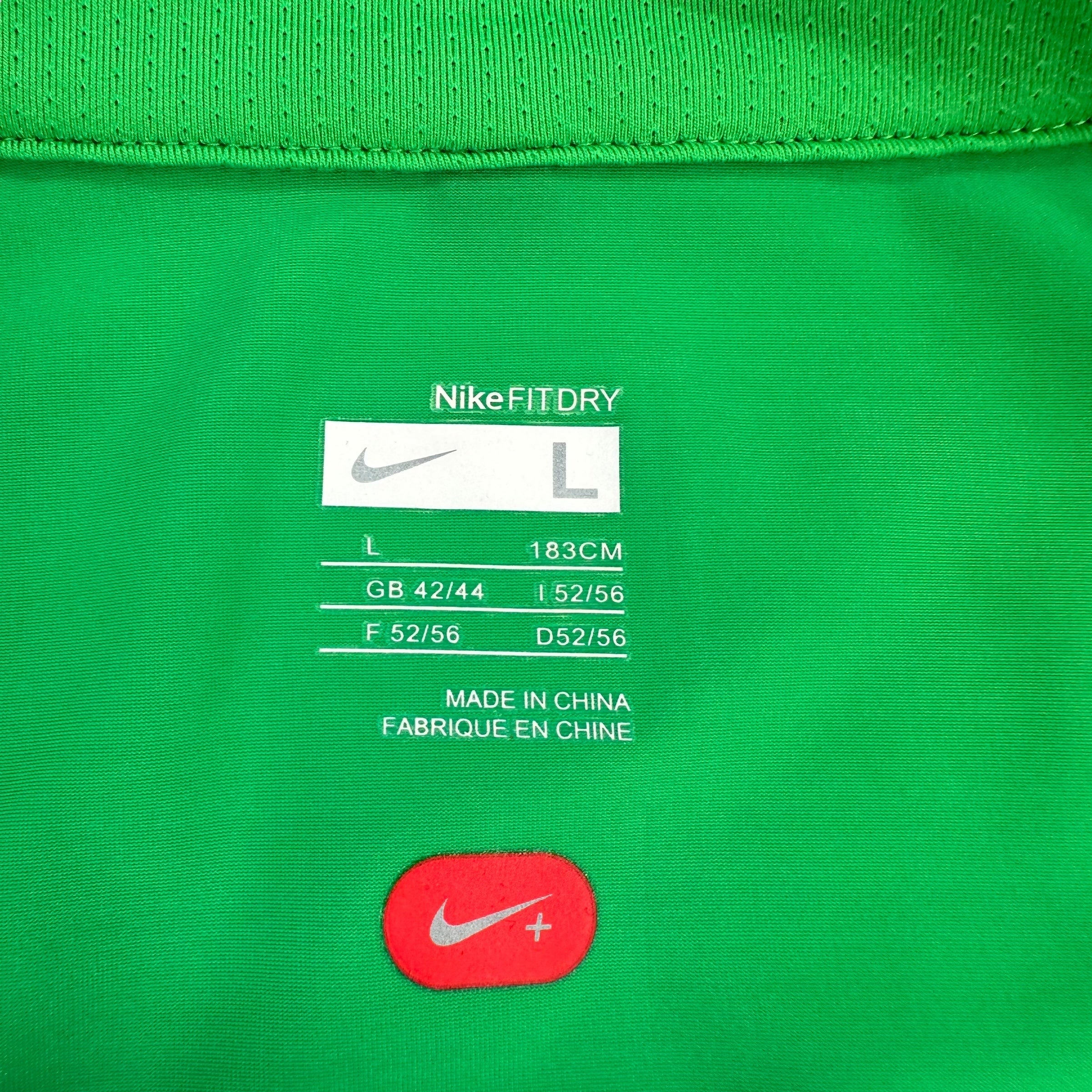 Nike 2000's technical dri-fit graphic tee (L)