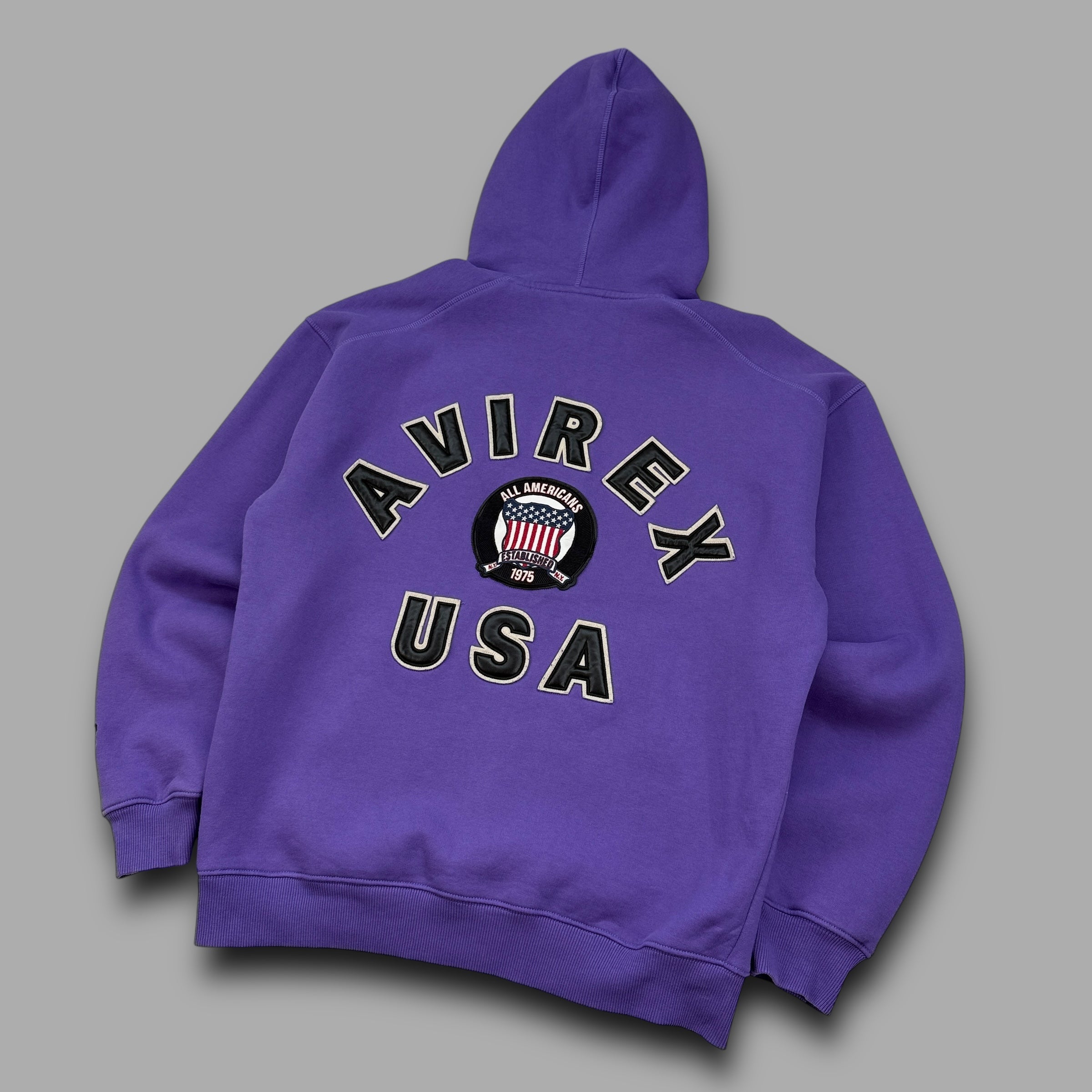 Avirex 2000's graphic embroidered sample hoodie (M)