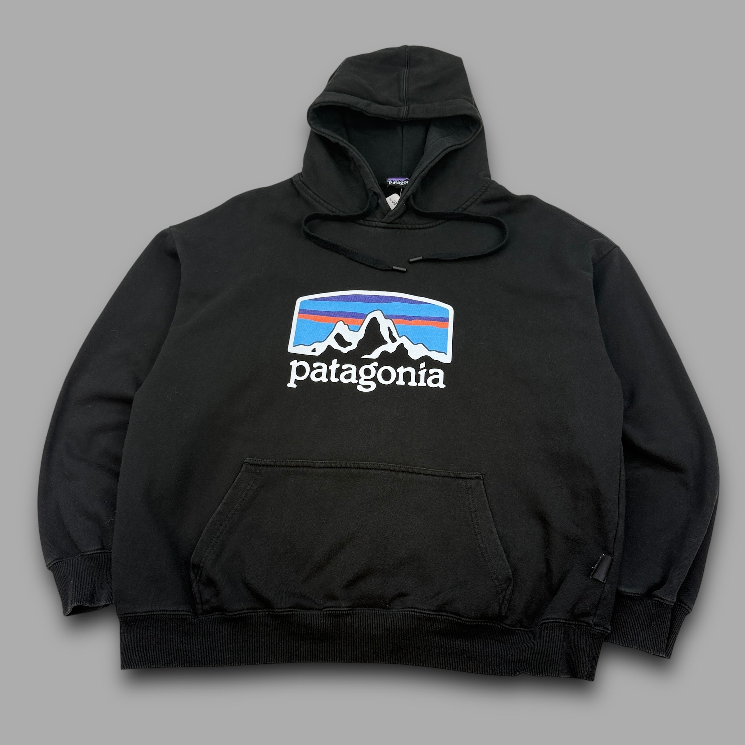 Patagonia graphic pullover hoodie (XL)