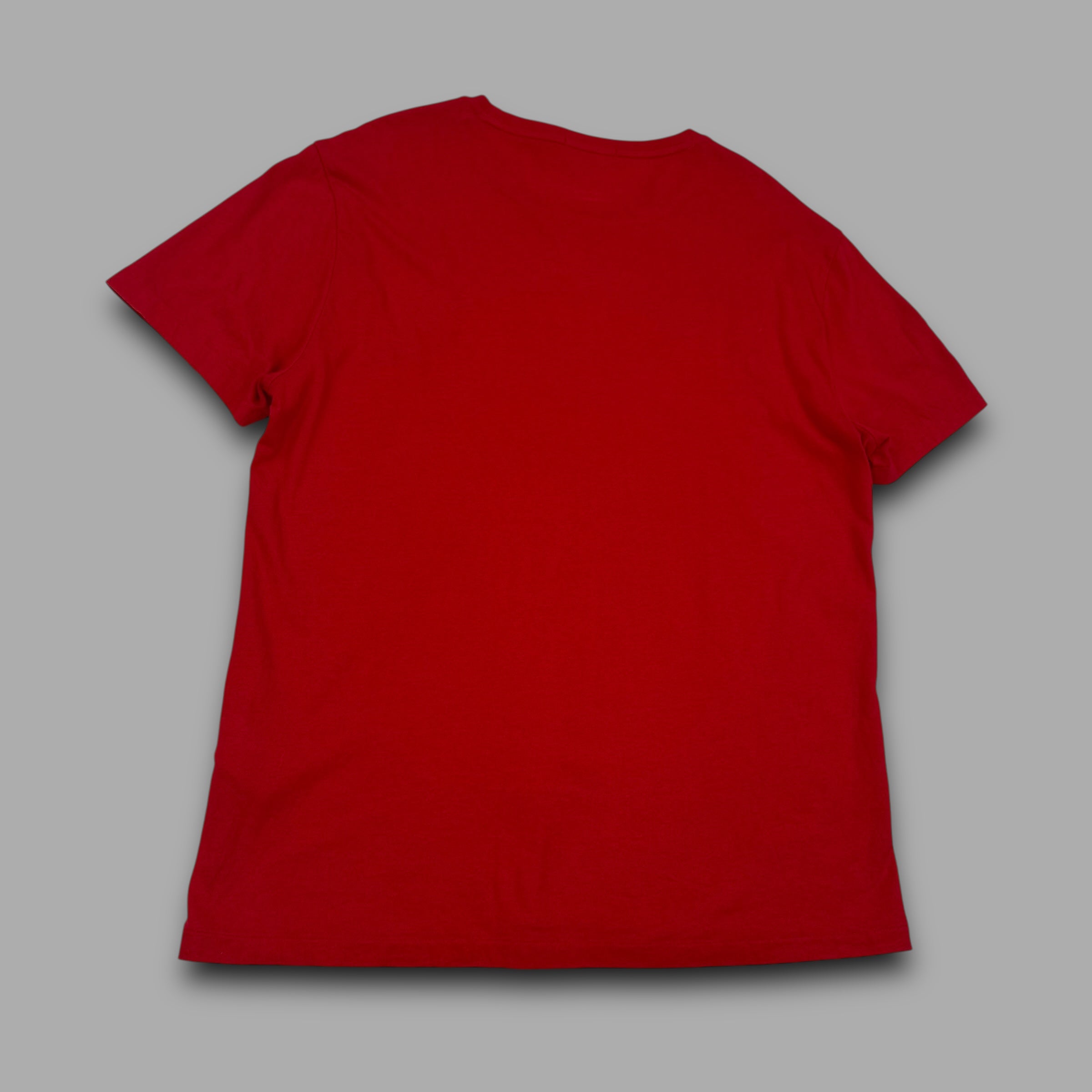 Ralph Lauren 2000's USA big pony embroidered tee (L)