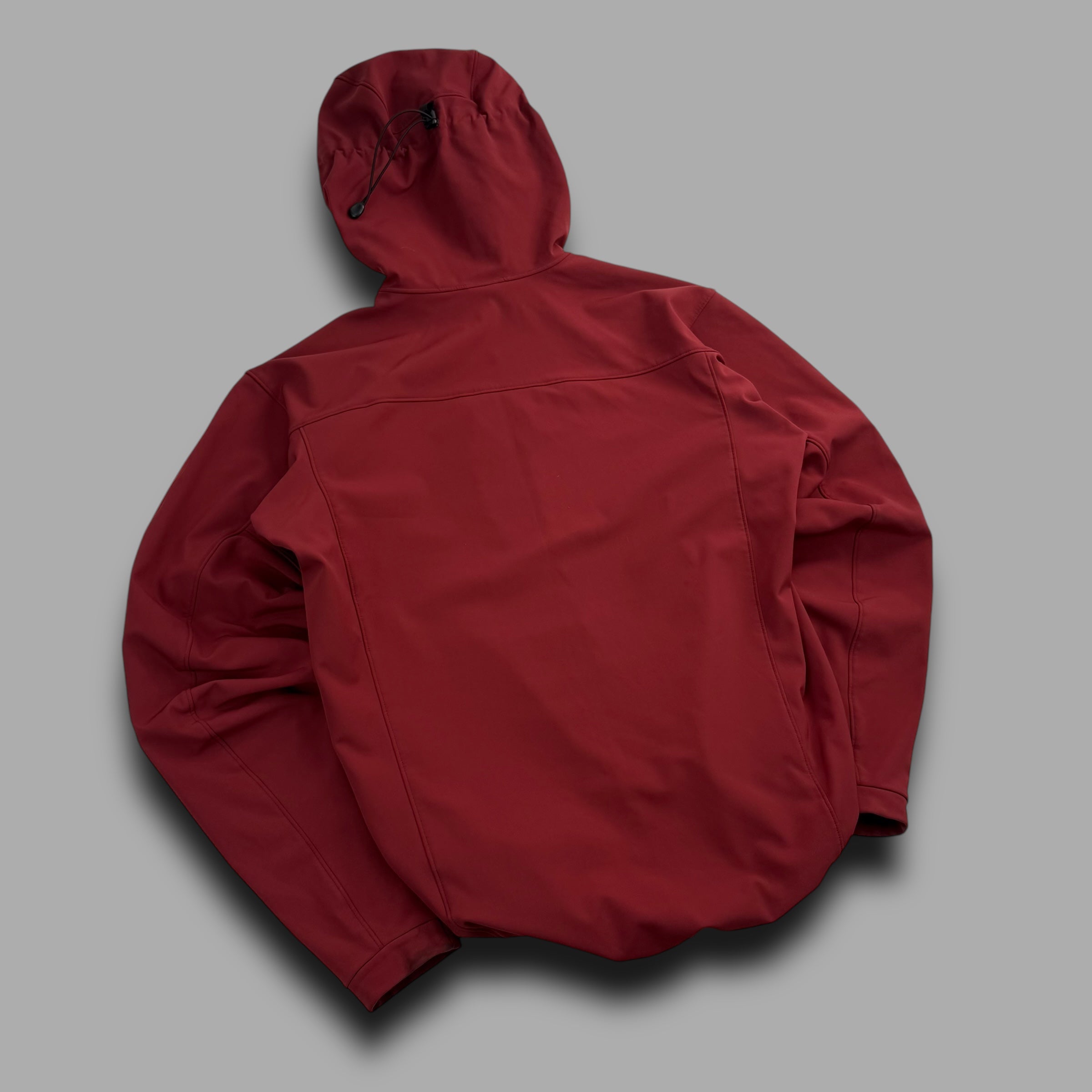 Arcteryx 2014 gamma MX jacket (M)