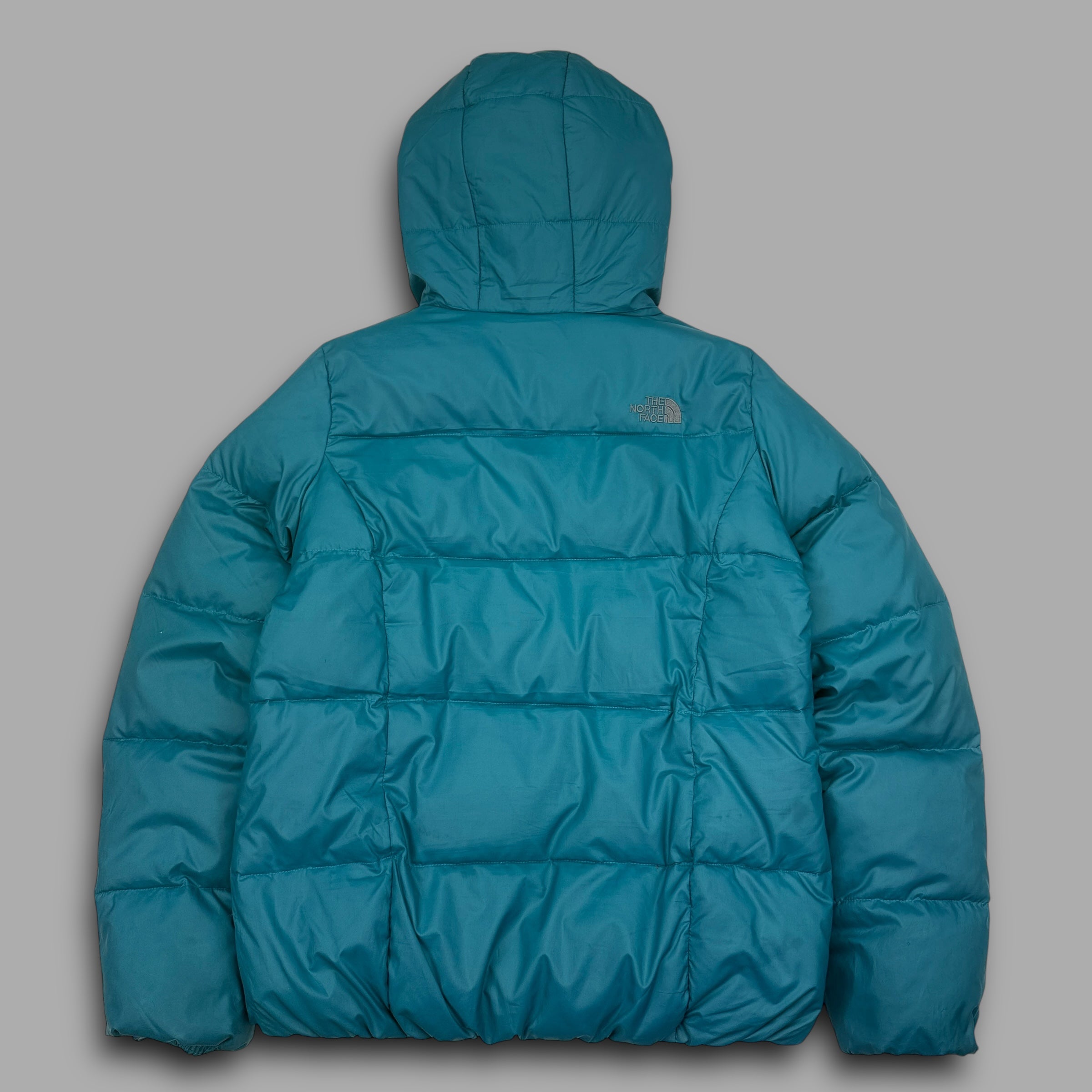 The north face 2000's technical full-zip puffer jacket (M)